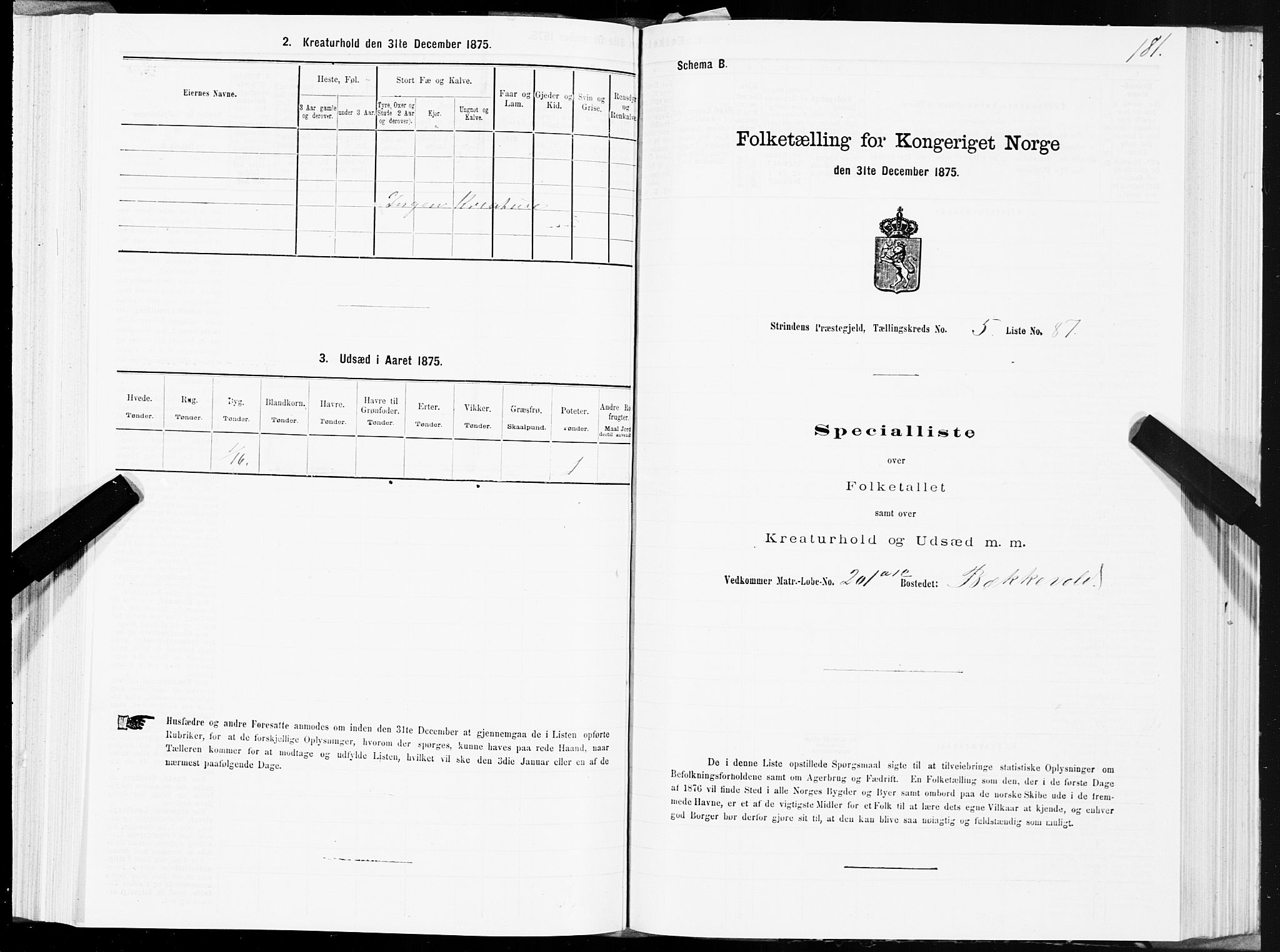 SAT, 1875 census for 1660P Strinda, 1875, p. 3181