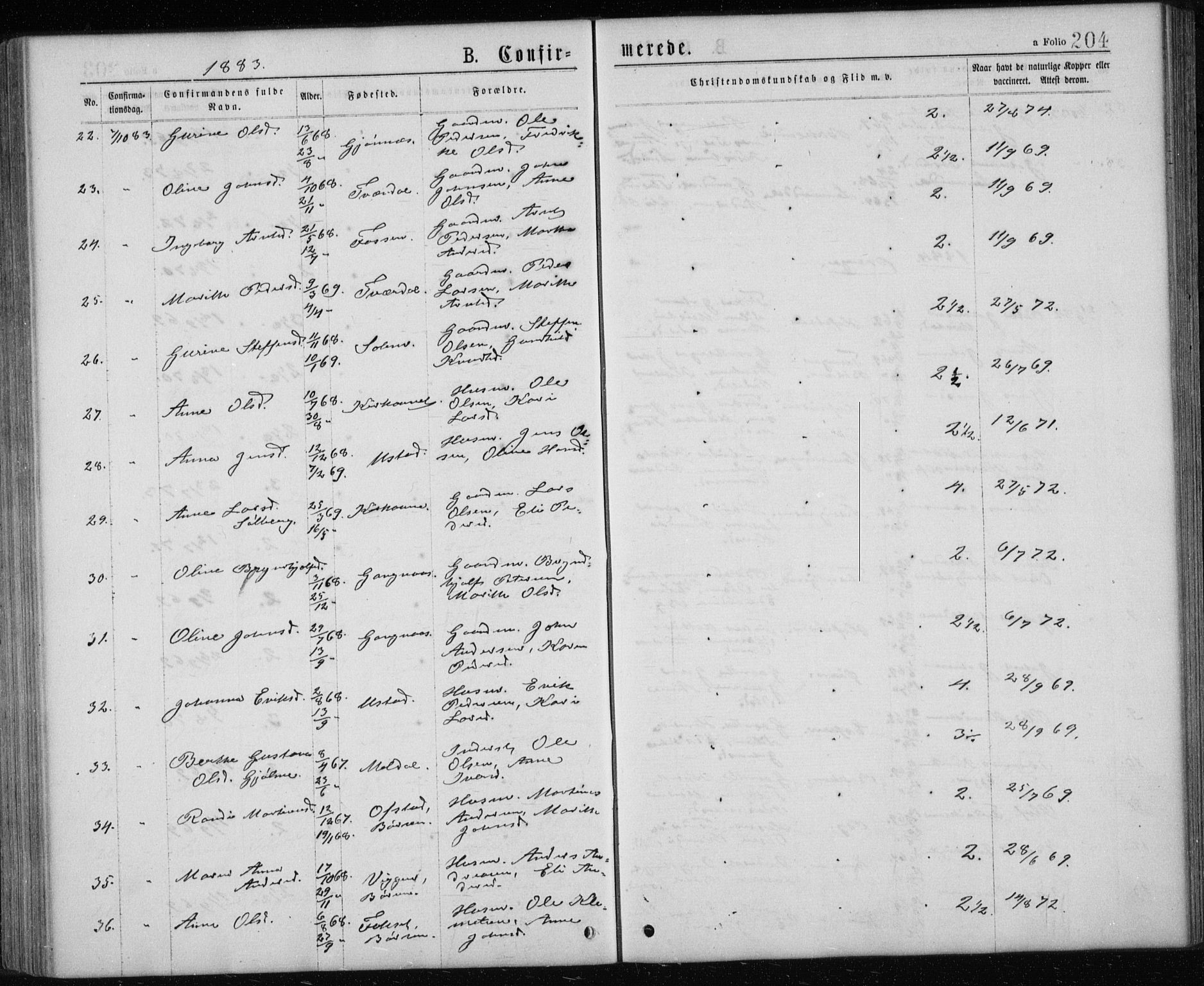 Ministerialprotokoller, klokkerbøker og fødselsregistre - Sør-Trøndelag, SAT/A-1456/668/L0817: Parish register (copy) no. 668C06, 1873-1884, p. 204