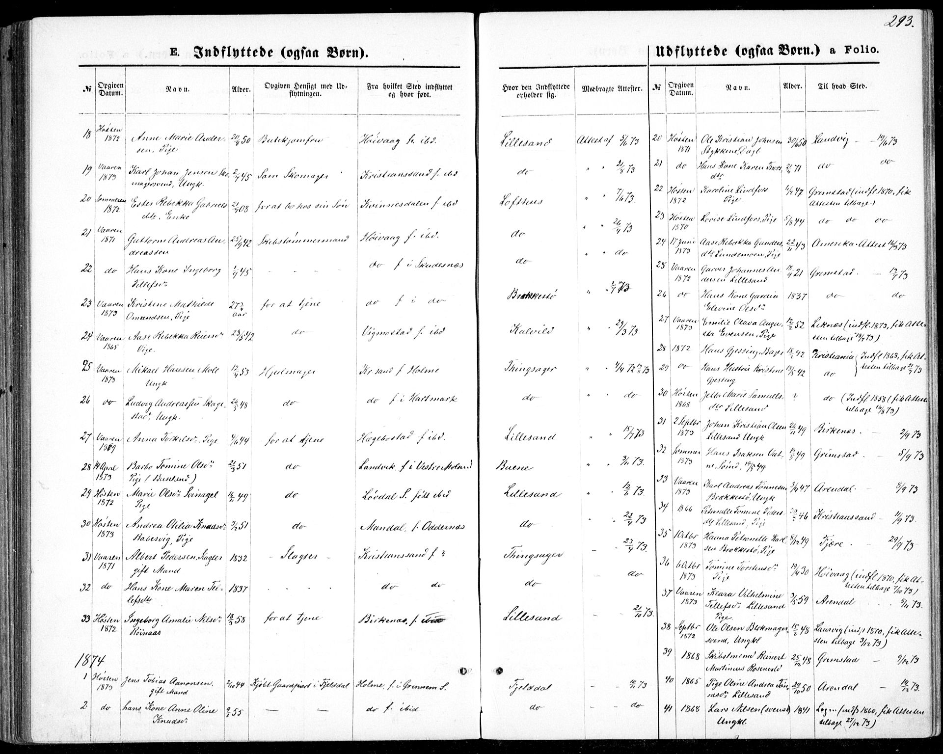 Vestre Moland sokneprestkontor, SAK/1111-0046/F/Fb/Fbb/L0005: Parish register (copy) no. B 5, 1872-1883, p. 293