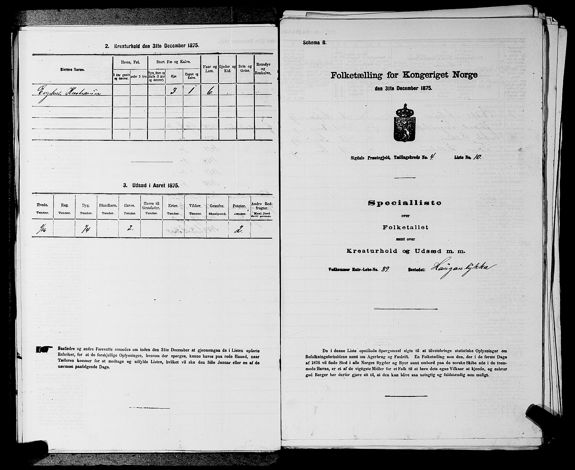 SAKO, 1875 census for 0621P Sigdal, 1875, p. 588