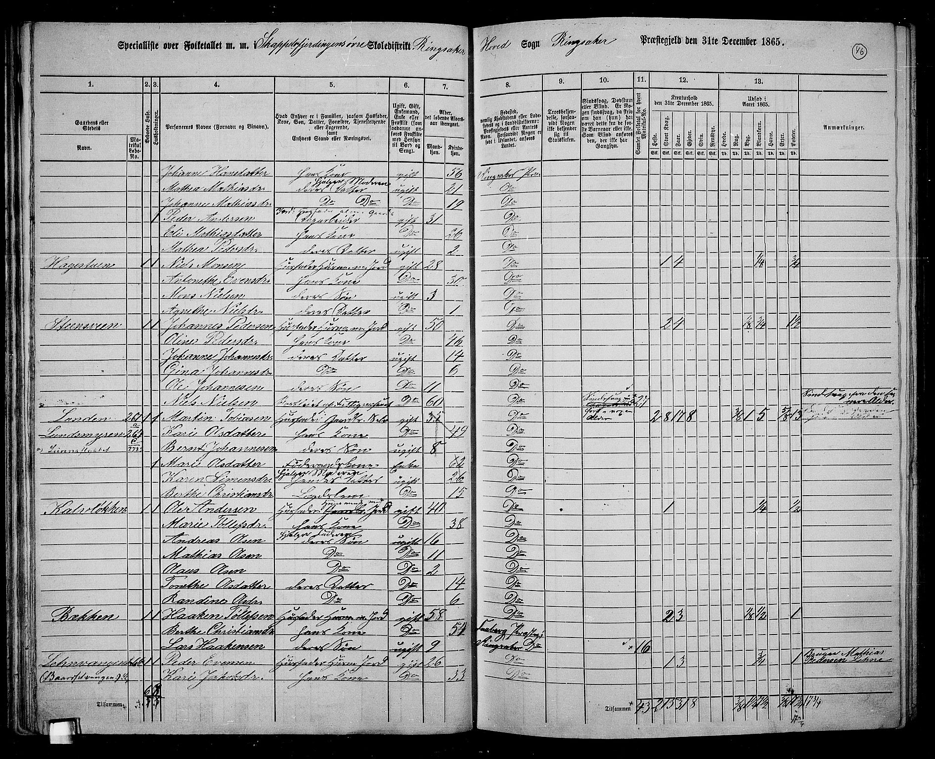 RA, 1865 census for Ringsaker, 1865, p. 303