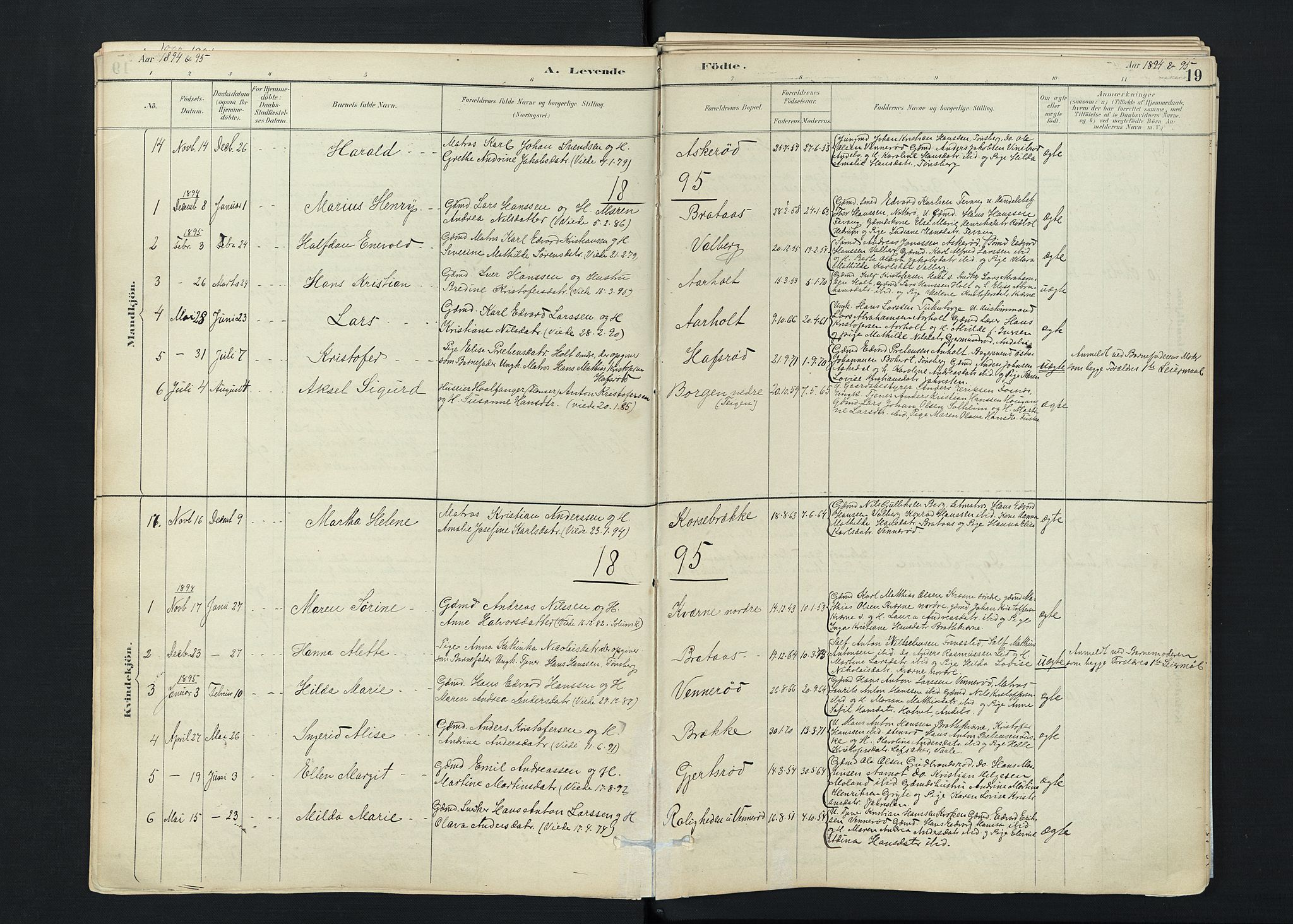 Stokke kirkebøker, SAKO/A-320/F/Fc/L0001: Parish register (official) no. III 1, 1884-1910, p. 19
