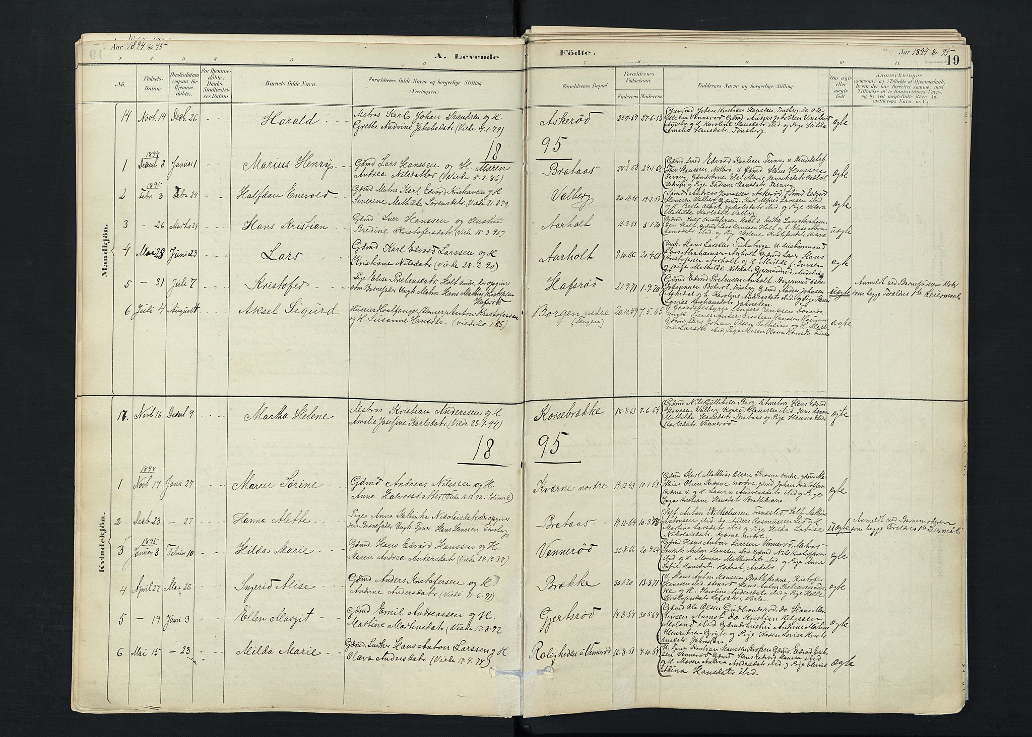 Stokke kirkebøker, AV/SAKO-A-320/F/Fc/L0001: Parish register (official) no. III 1, 1884-1910, p. 19