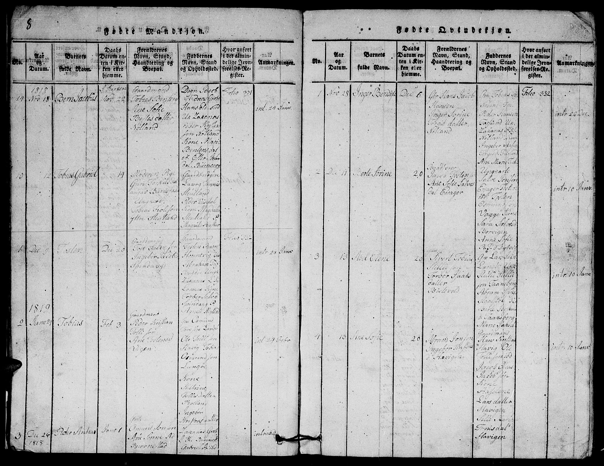 Herad sokneprestkontor, SAK/1111-0018/F/Fb/Fbb/L0001: Parish register (copy) no. B 1, 1815-1852, p. 8
