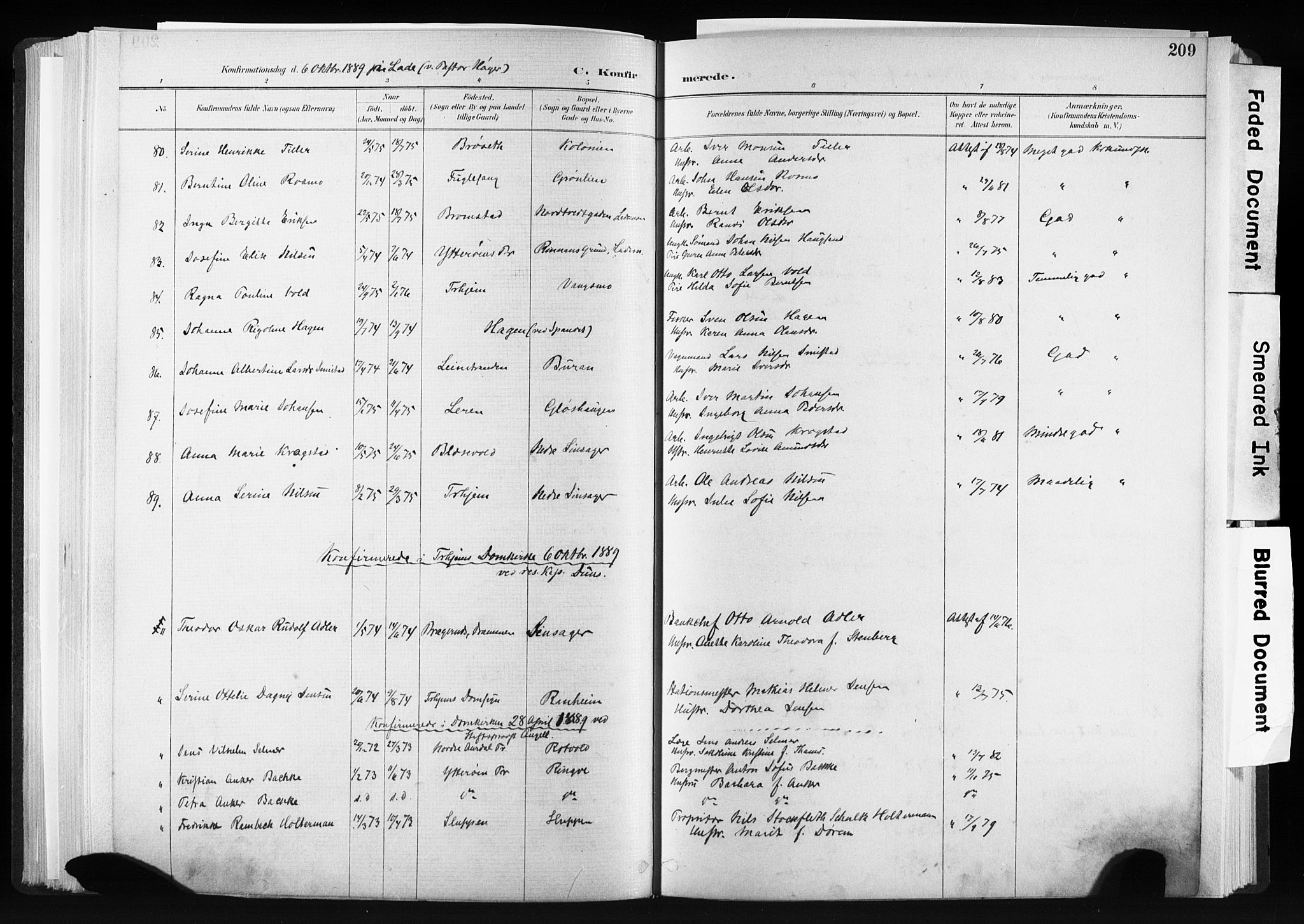 Ministerialprotokoller, klokkerbøker og fødselsregistre - Sør-Trøndelag, SAT/A-1456/606/L0300: Parish register (official) no. 606A15, 1886-1893, p. 209