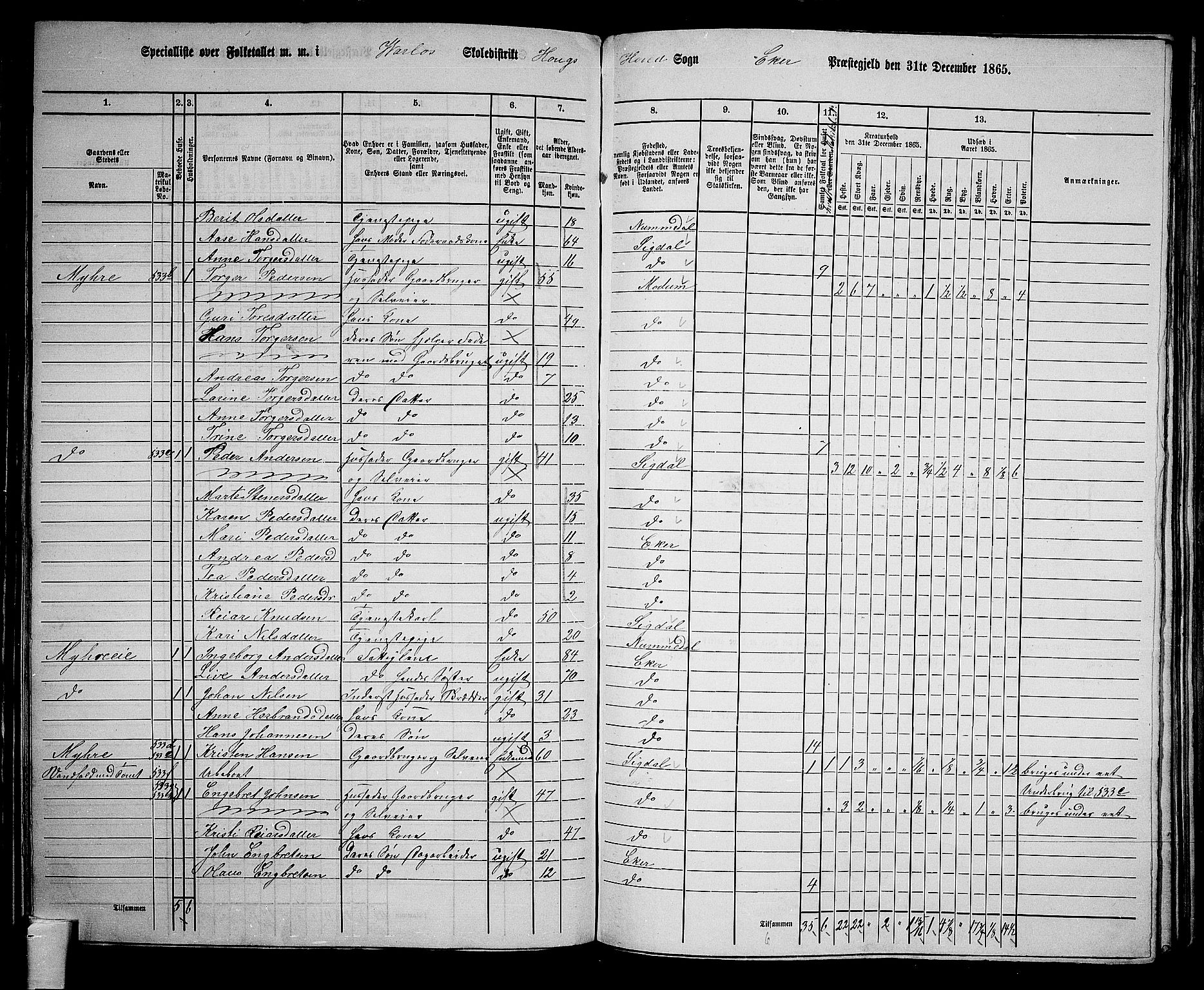 RA, 1865 census for Eiker, 1865, p. 146