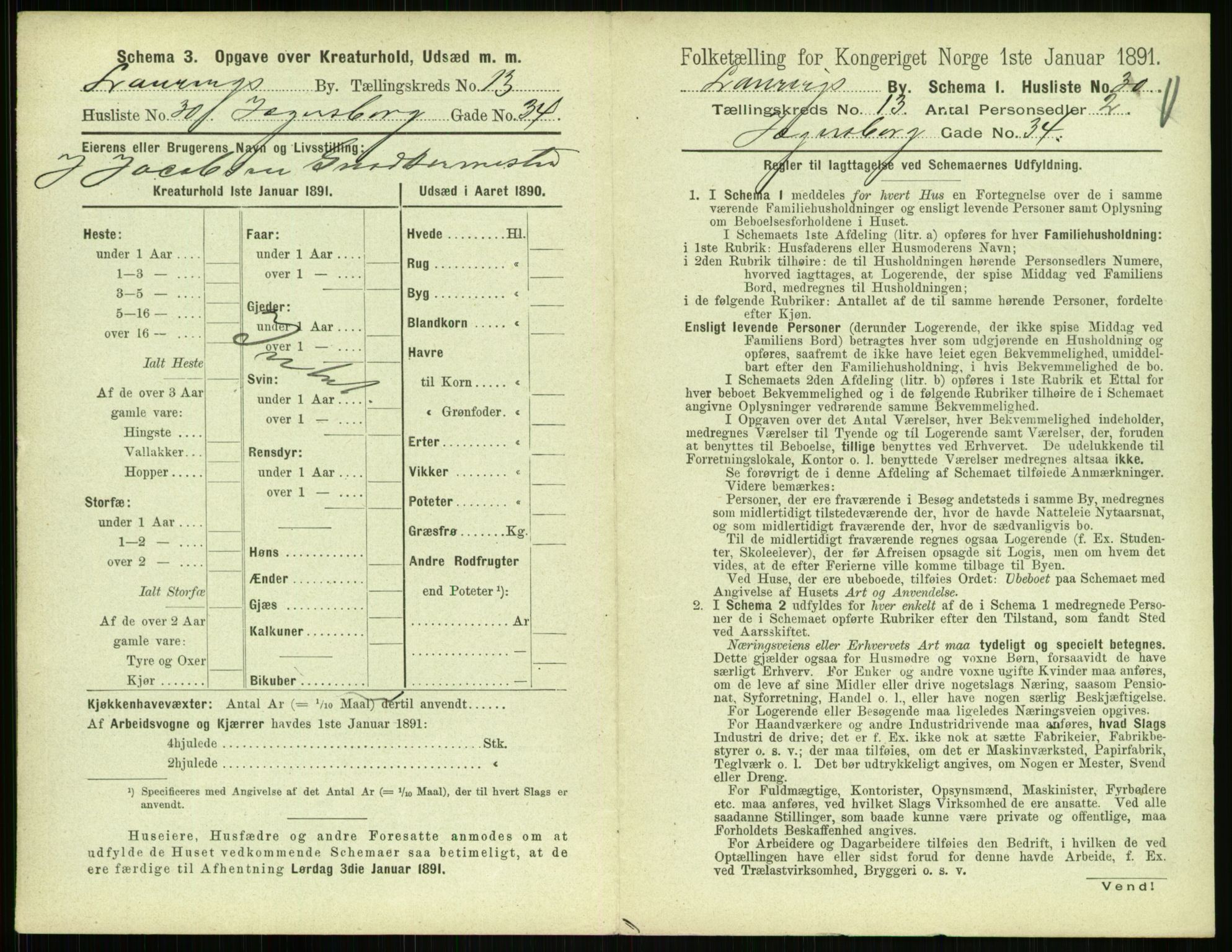 RA, 1891 census for 0707 Larvik, 1891, p. 1567