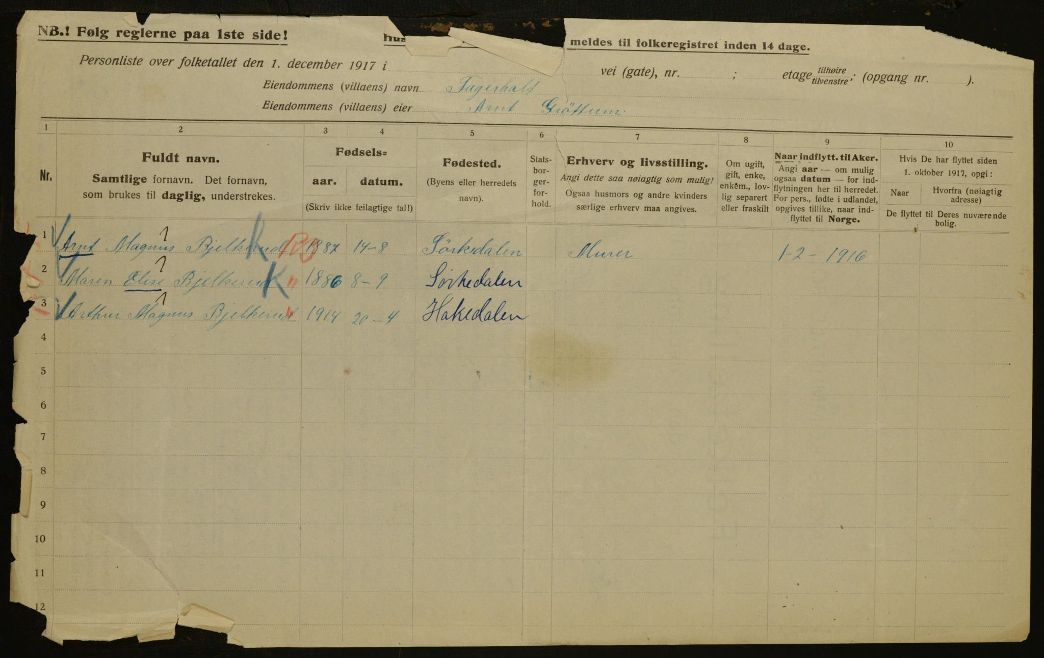 OBA, Municipal Census 1917 for Aker, 1917, p. 1303