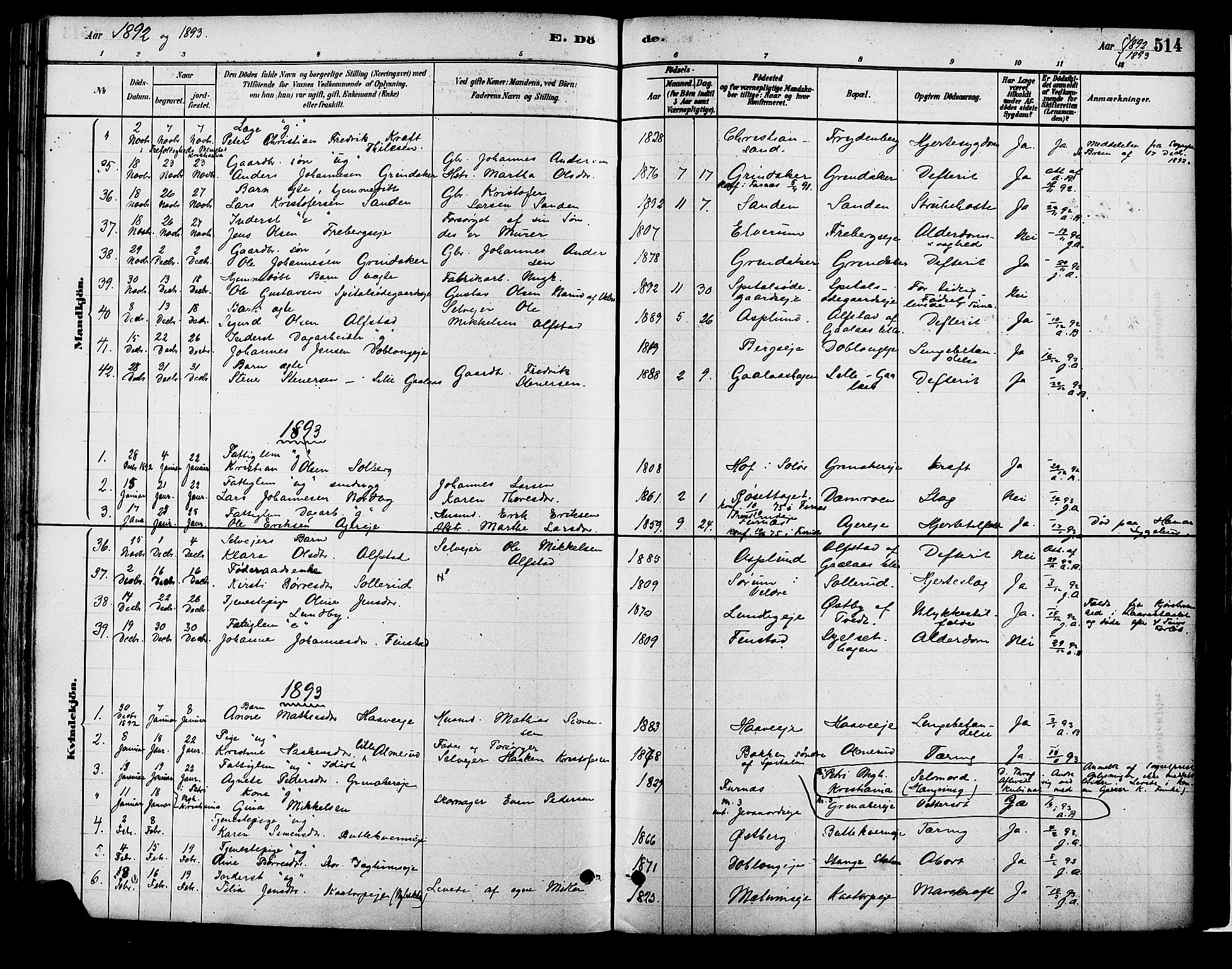 Vang prestekontor, Hedmark, AV/SAH-PREST-008/H/Ha/Haa/L0018B: Parish register (official) no. 18B, 1880-1906, p. 514