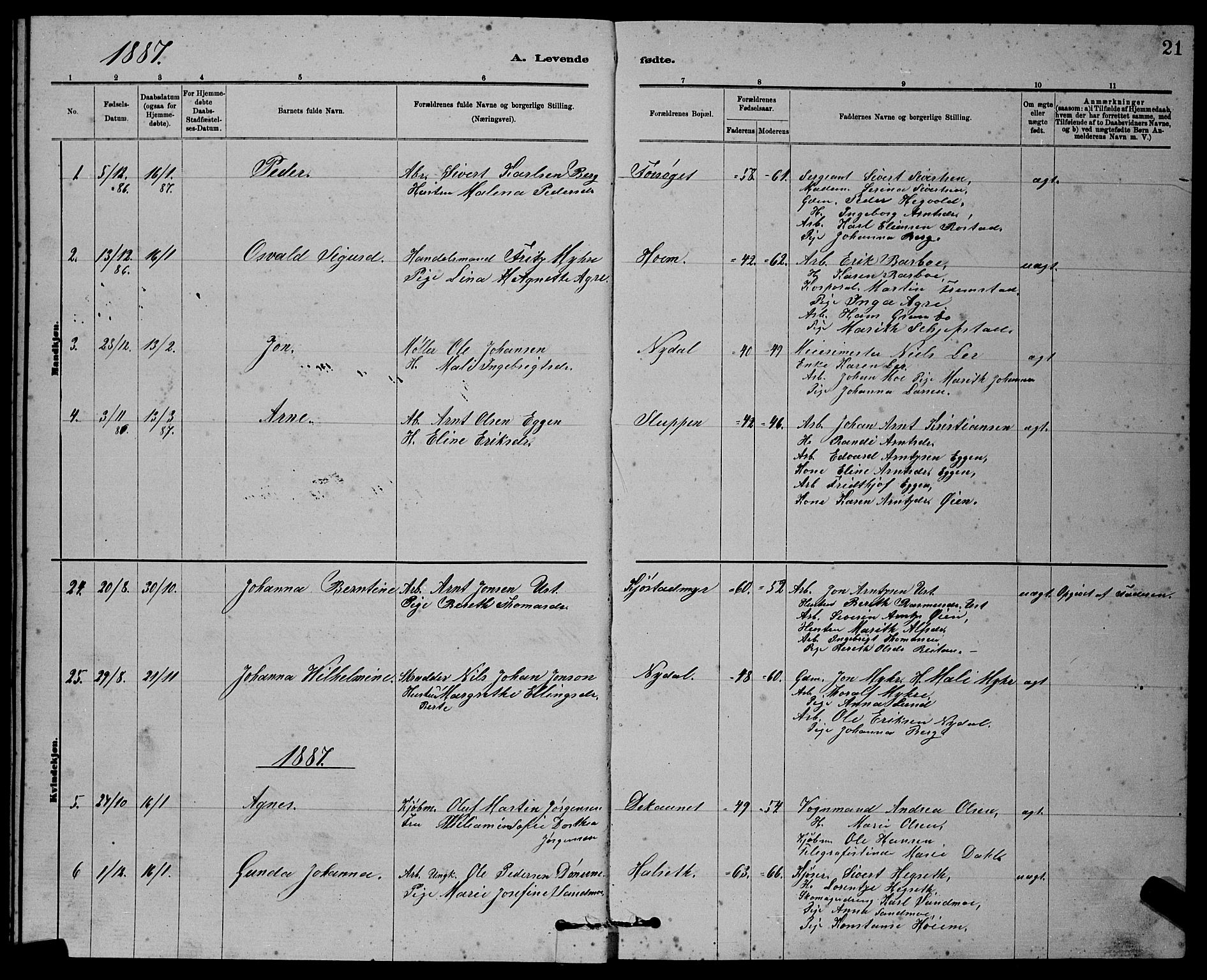 Ministerialprotokoller, klokkerbøker og fødselsregistre - Sør-Trøndelag, SAT/A-1456/611/L0354: Parish register (copy) no. 611C02, 1881-1896, p. 21