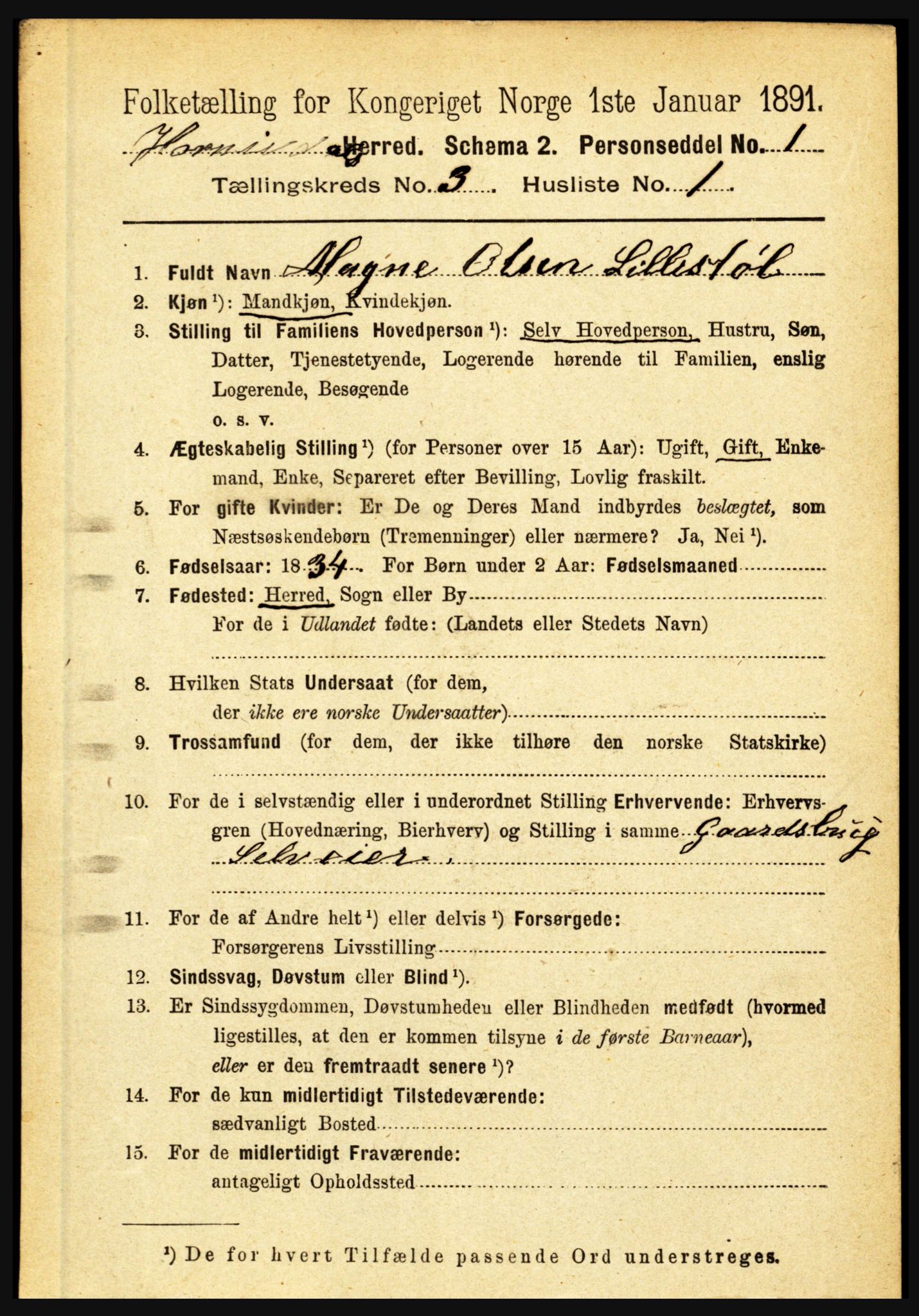 RA, 1891 census for 1444 Hornindal, 1891, p. 550