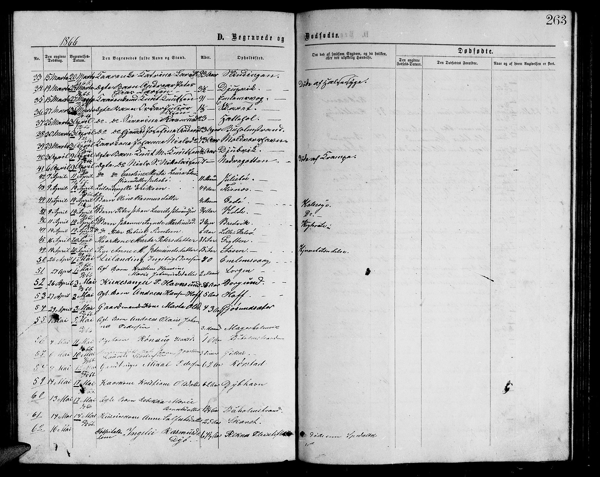 Ministerialprotokoller, klokkerbøker og fødselsregistre - Møre og Romsdal, AV/SAT-A-1454/528/L0428: Parish register (copy) no. 528C09, 1864-1880, p. 263