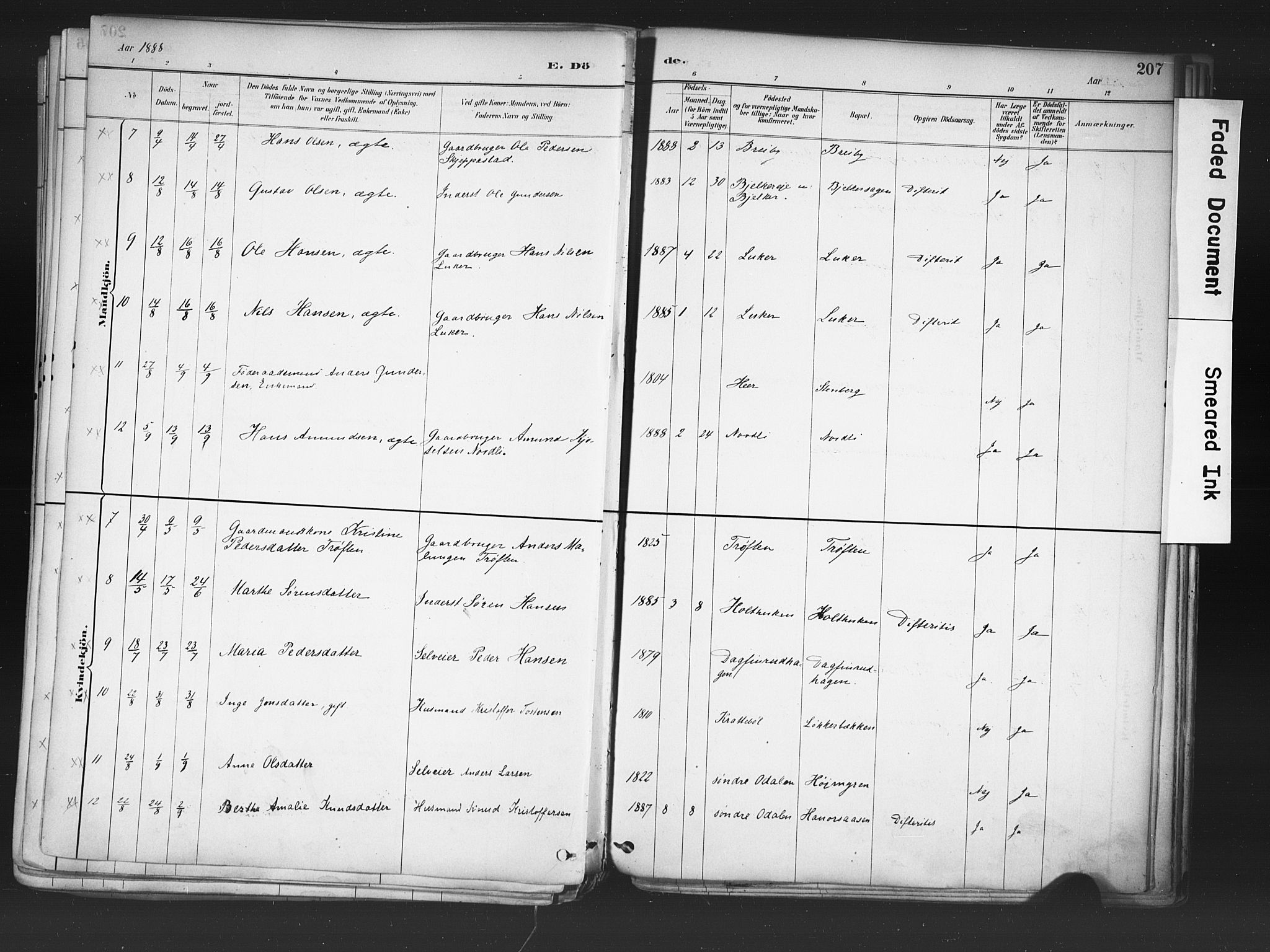 Nord-Odal prestekontor, AV/SAH-PREST-032/H/Ha/Haa/L0006: Parish register (official) no. 6, 1886-1901, p. 207