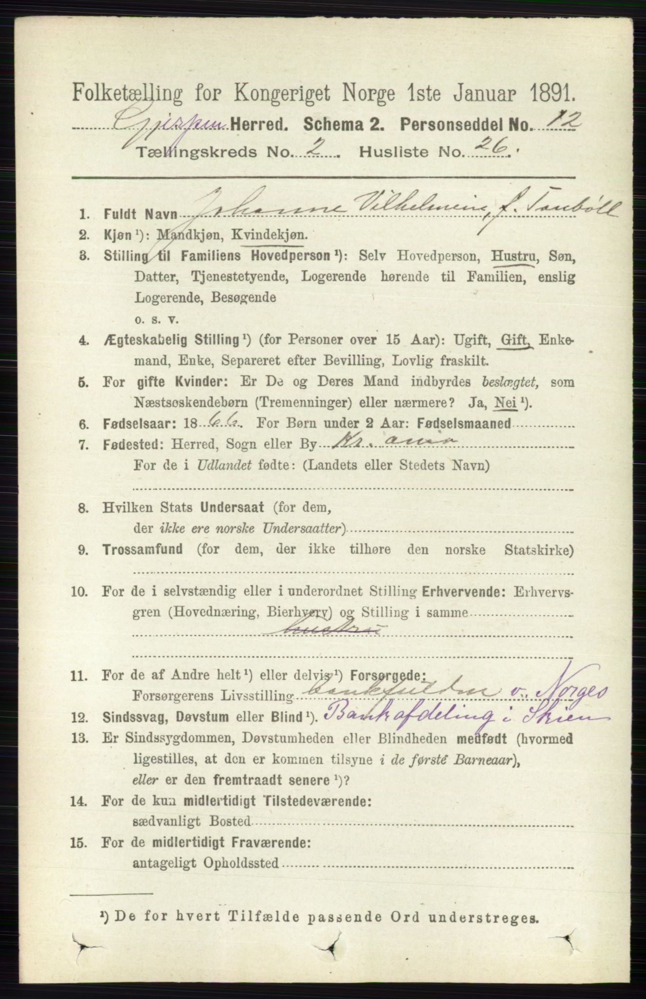 RA, 1891 census for 0812 Gjerpen, 1891, p. 938