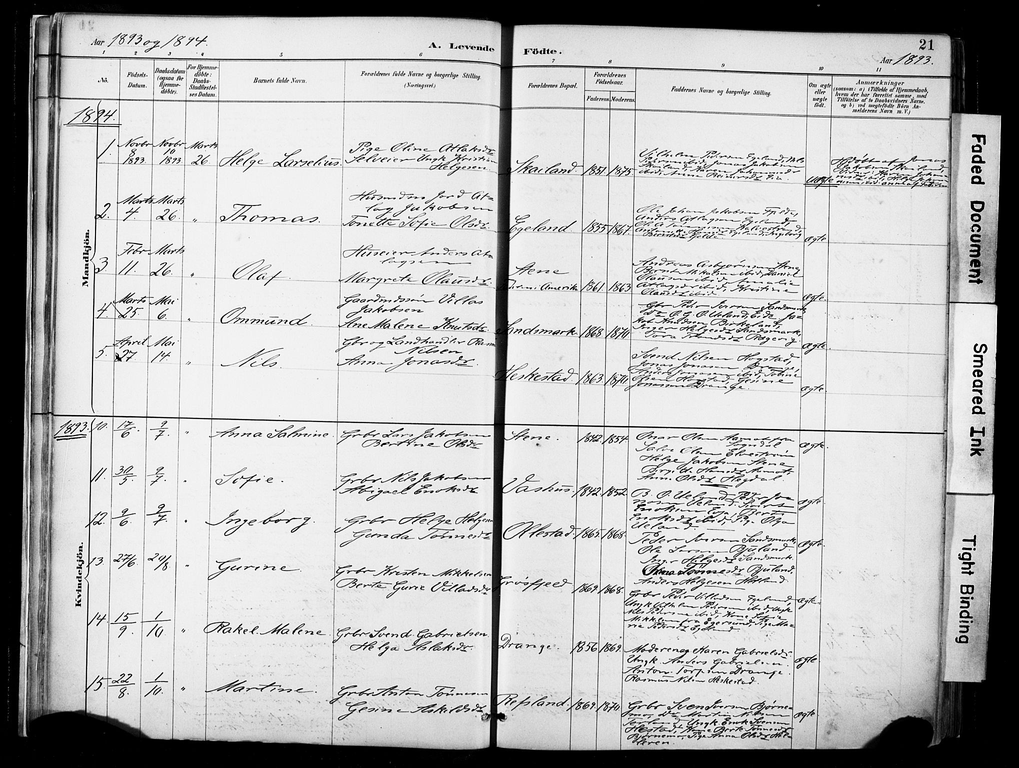 Lund sokneprestkontor, AV/SAST-A-101809/S06/L0012: Parish register (official) no. A 11, 1887-1921, p. 21