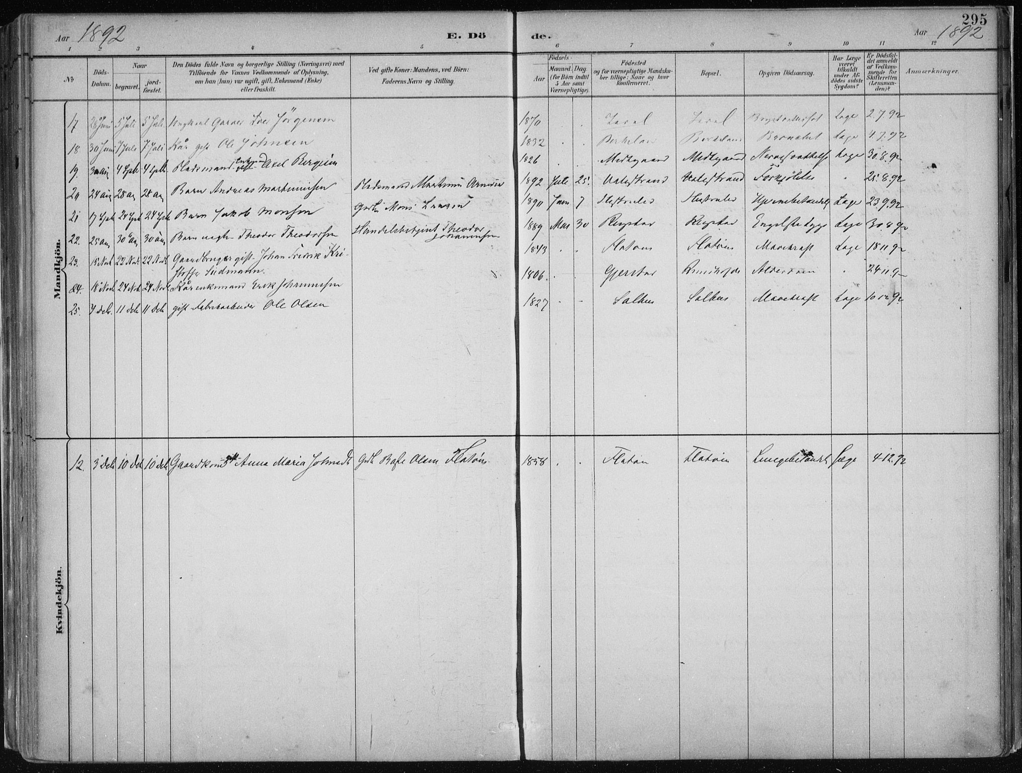 Hamre sokneprestembete, SAB/A-75501/H/Ha/Haa/Haab/L0001: Parish register (official) no. B  1, 1882-1905, p. 295