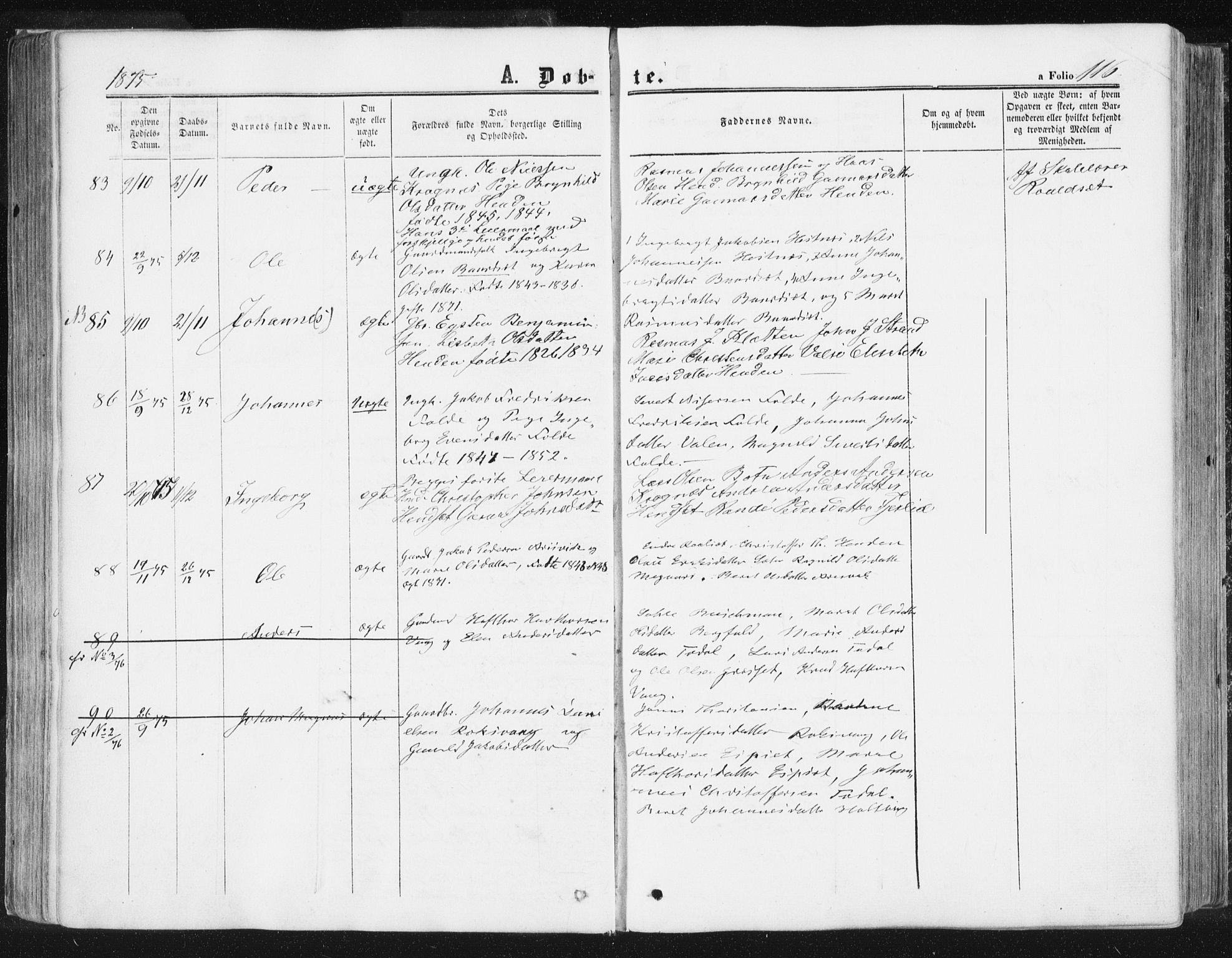 Ministerialprotokoller, klokkerbøker og fødselsregistre - Møre og Romsdal, AV/SAT-A-1454/578/L0905: Parish register (official) no. 578A04, 1859-1877, p. 116