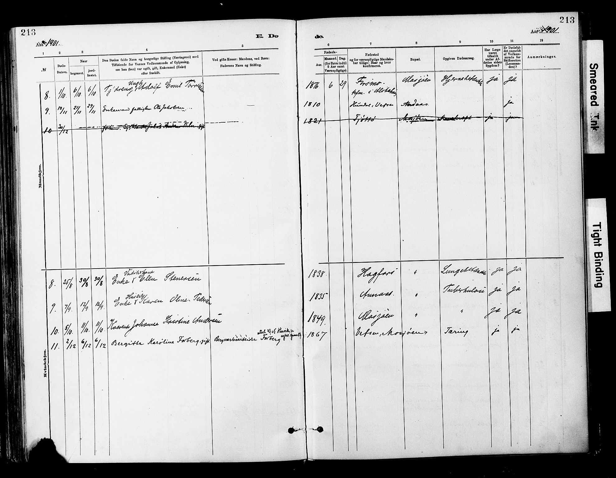 Ministerialprotokoller, klokkerbøker og fødselsregistre - Nordland, SAT/A-1459/820/L0296: Parish register (official) no. 820A17, 1880-1903, p. 213