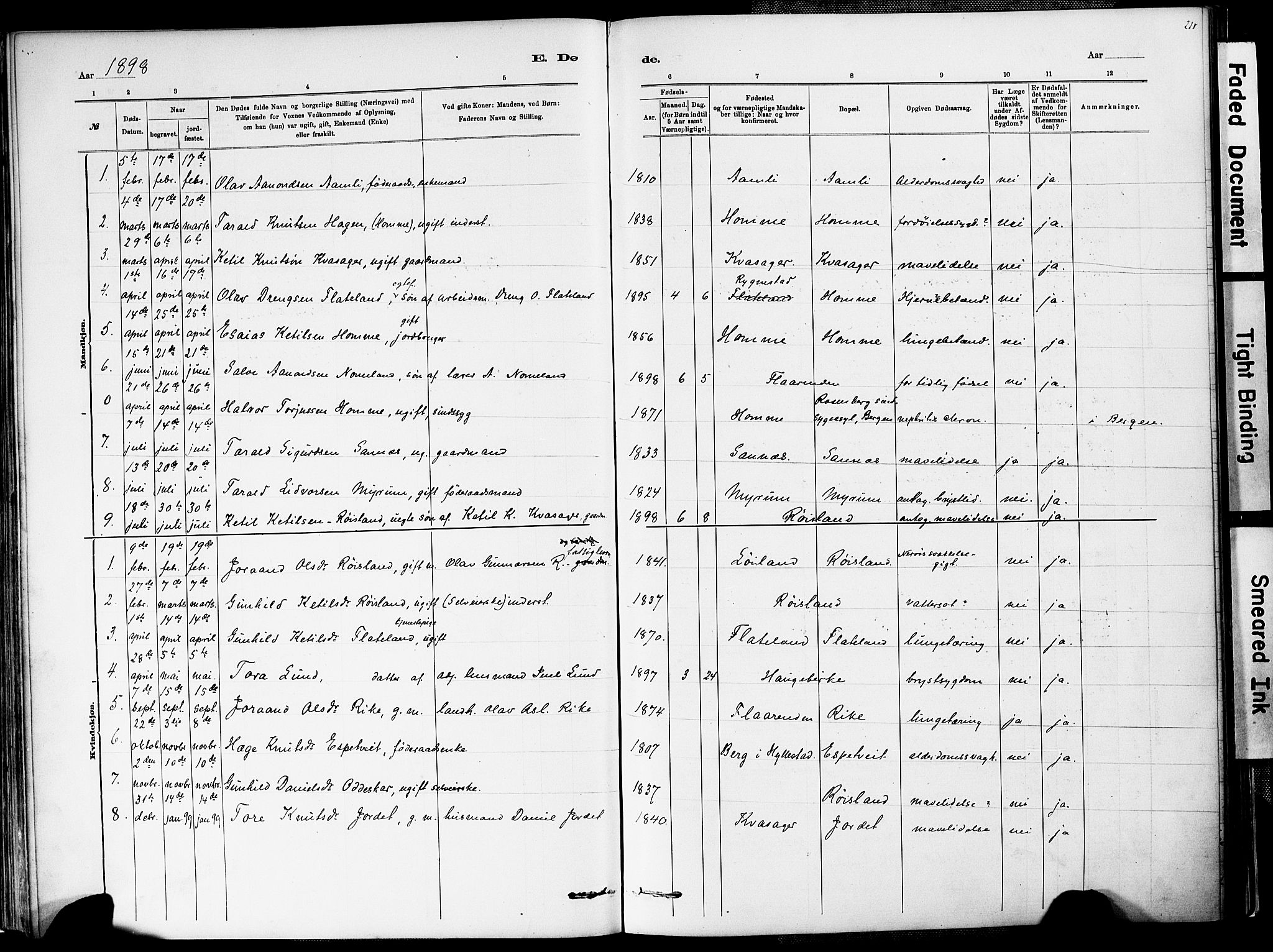 Valle sokneprestkontor, AV/SAK-1111-0044/F/Fa/Fac/L0009: Parish register (official) no. A 9, 1882-1913, p. 218