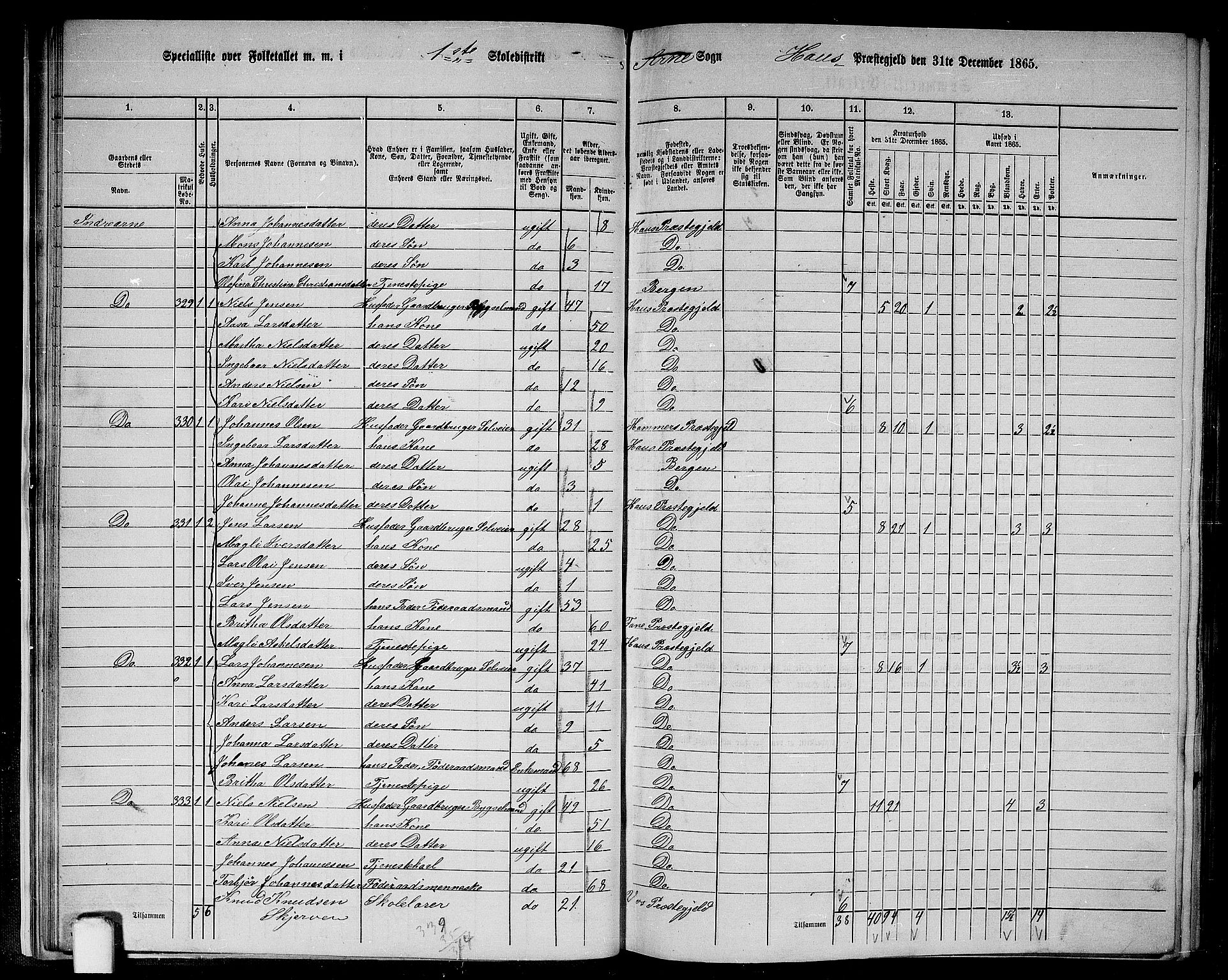 RA, 1865 census for Haus, 1865, p. 28