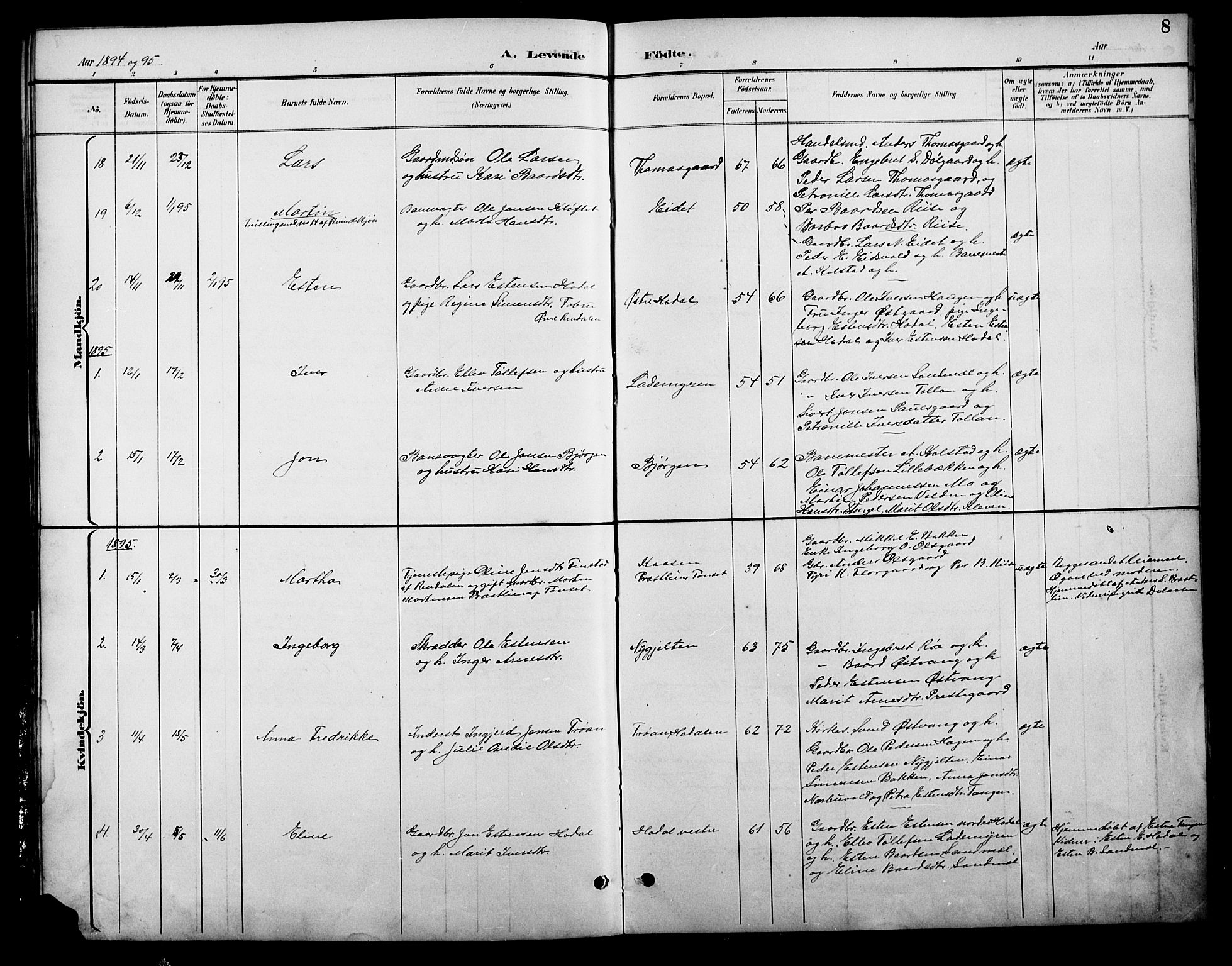 Tolga prestekontor, AV/SAH-PREST-062/L/L0009: Parish register (copy) no. 9, 1892-1919, p. 8