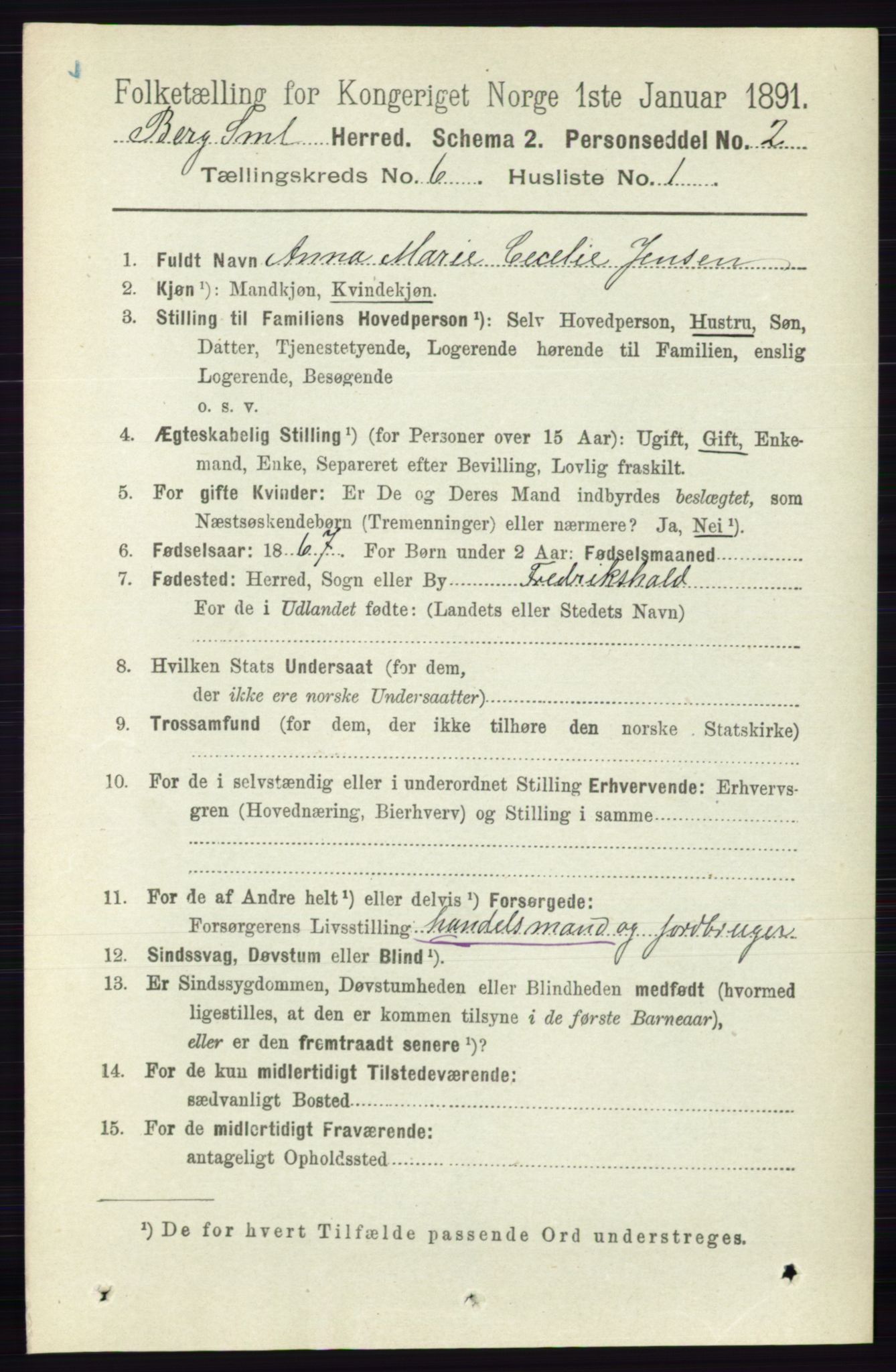 RA, 1891 census for 0116 Berg, 1891, p. 3737