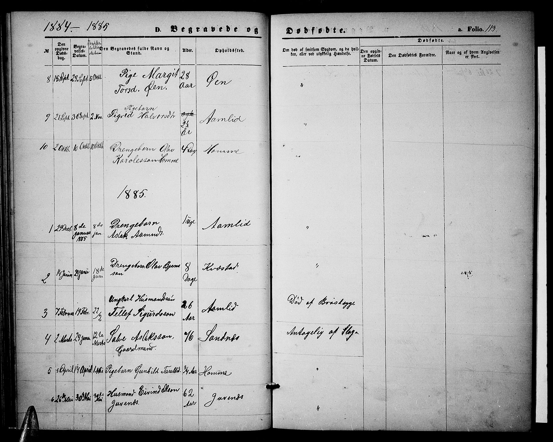 Valle sokneprestkontor, AV/SAK-1111-0044/F/Fb/Fbc/L0003: Parish register (copy) no. B 3, 1871-1890, p. 113