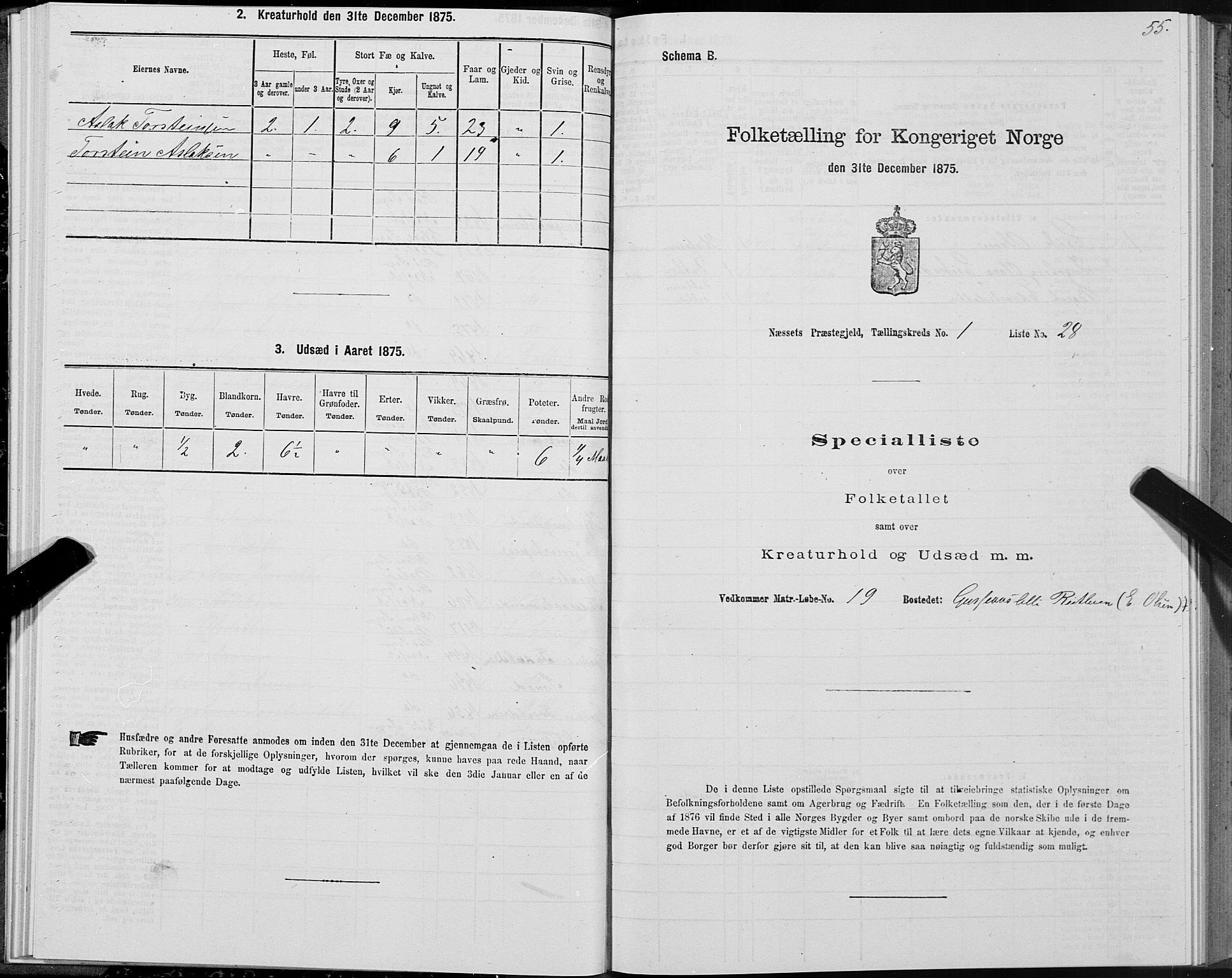 SAT, 1875 census for 1543P Nesset, 1875, p. 1055