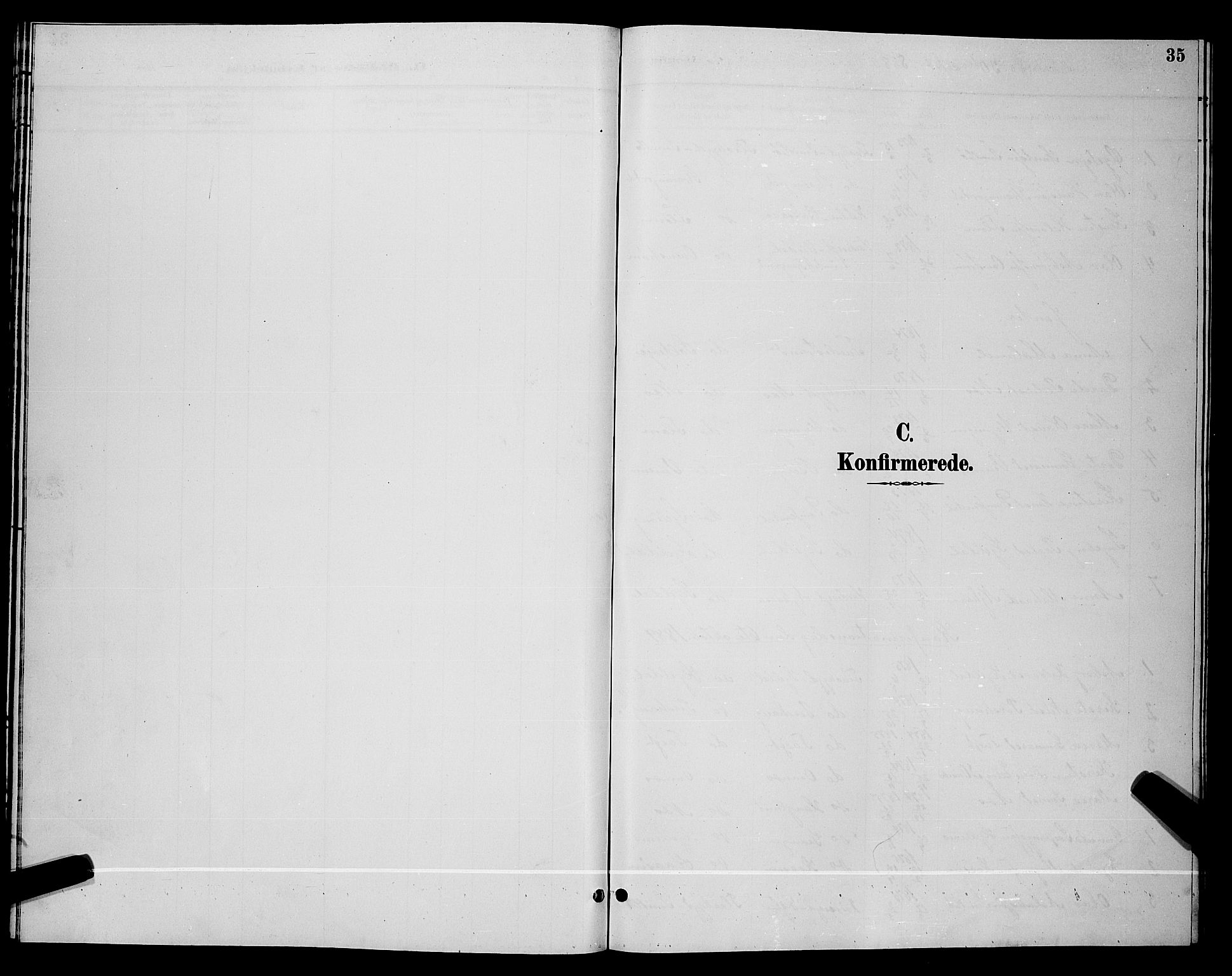 Lunde kirkebøker, SAKO/A-282/G/Gb/L0002: Parish register (copy) no. II 2, 1888-1895, p. 35