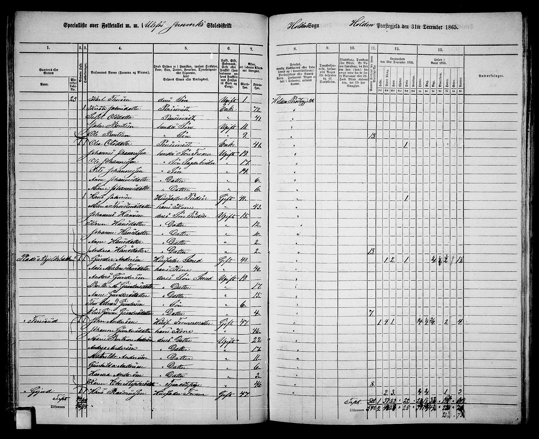 RA, 1865 census for Holla, 1865, p. 65