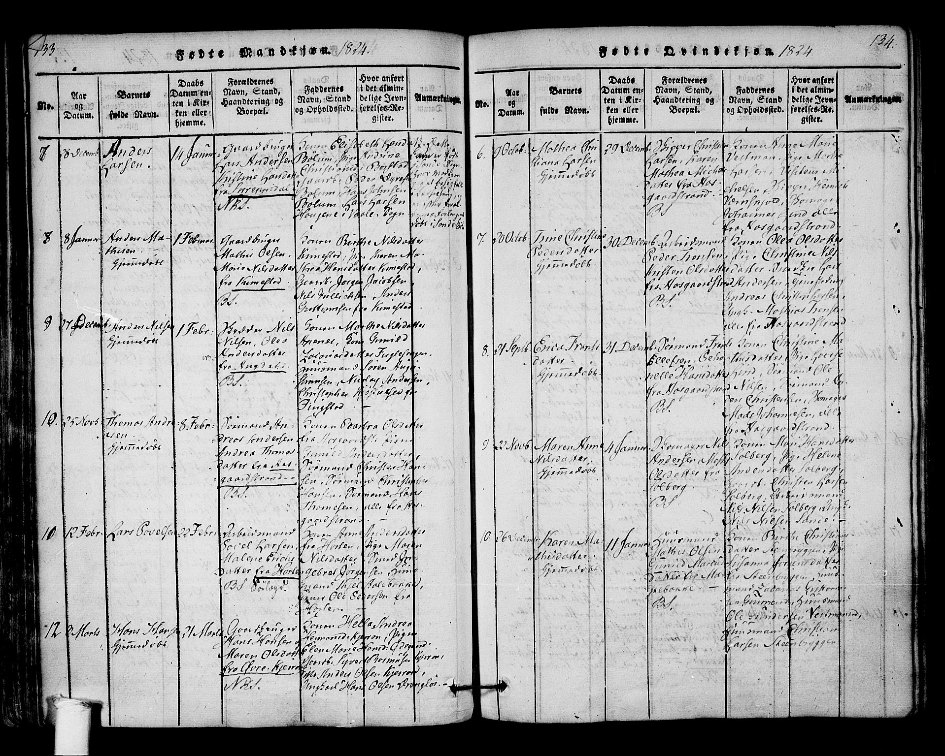 Borre kirkebøker, AV/SAKO-A-338/F/Fa/L0004: Parish register (official) no. I 4, 1815-1845, p. 133-134