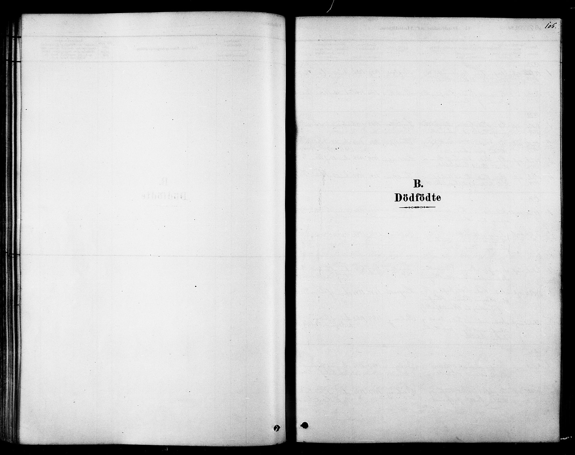 Tana sokneprestkontor, AV/SATØ-S-1334/H/Ha/L0004kirke: Parish register (official) no. 4, 1878-1891, p. 106