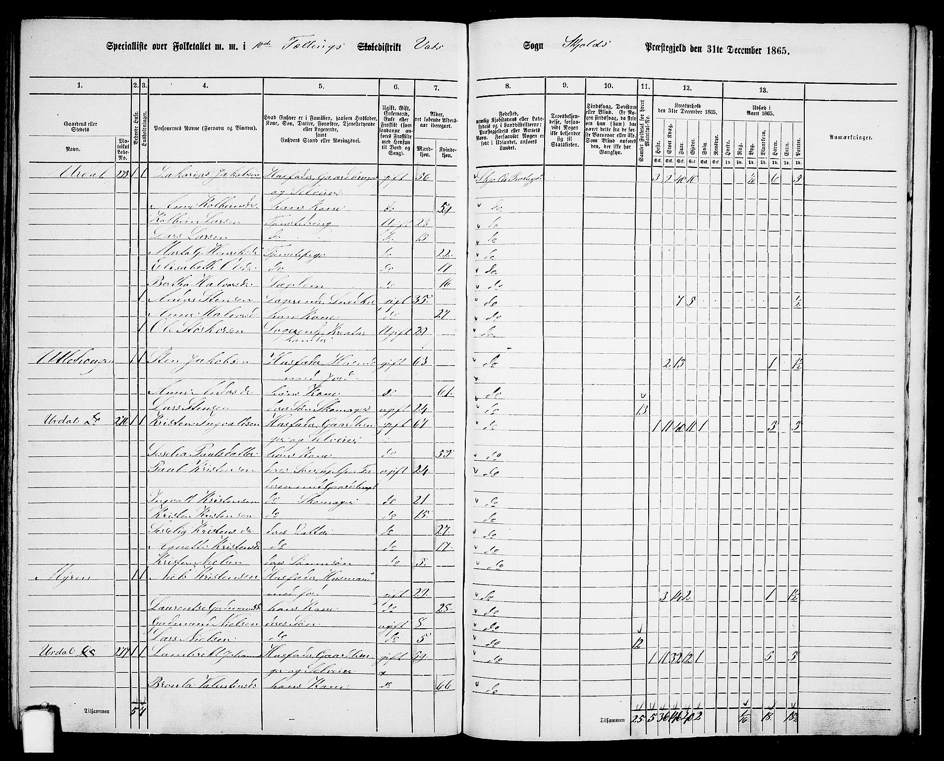 RA, 1865 census for Skjold, 1865, p. 142