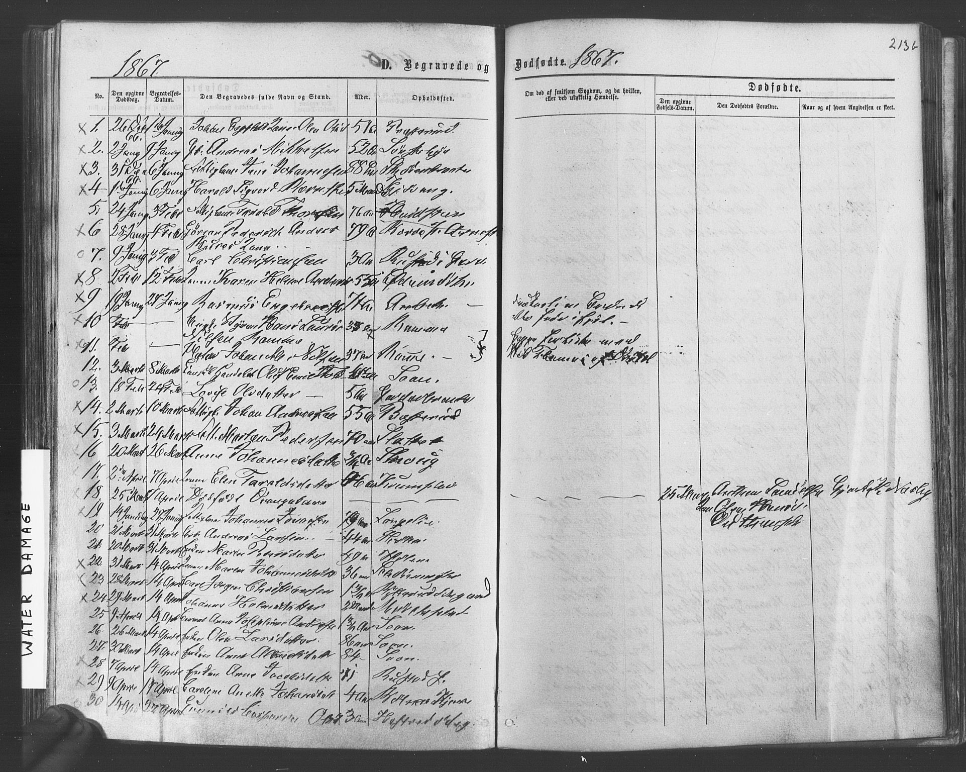 Vestby prestekontor Kirkebøker, SAO/A-10893/F/Fa/L0008: Parish register (official) no. I 8, 1863-1877, p. 213b