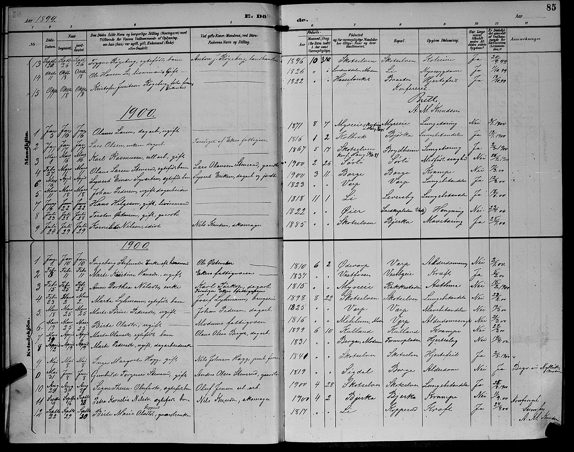 Eiker kirkebøker, SAKO/A-4/G/Gb/L0004: Parish register (copy) no. II 4, 1894-1900, p. 85