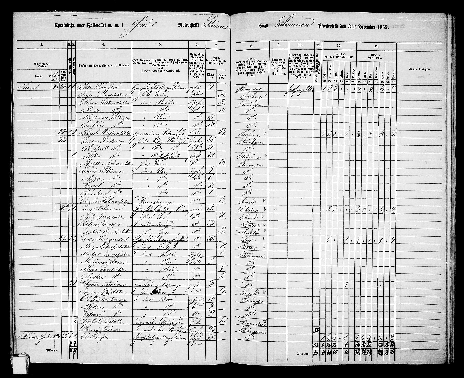 RA, 1865 census for Strømm, 1865, p. 7