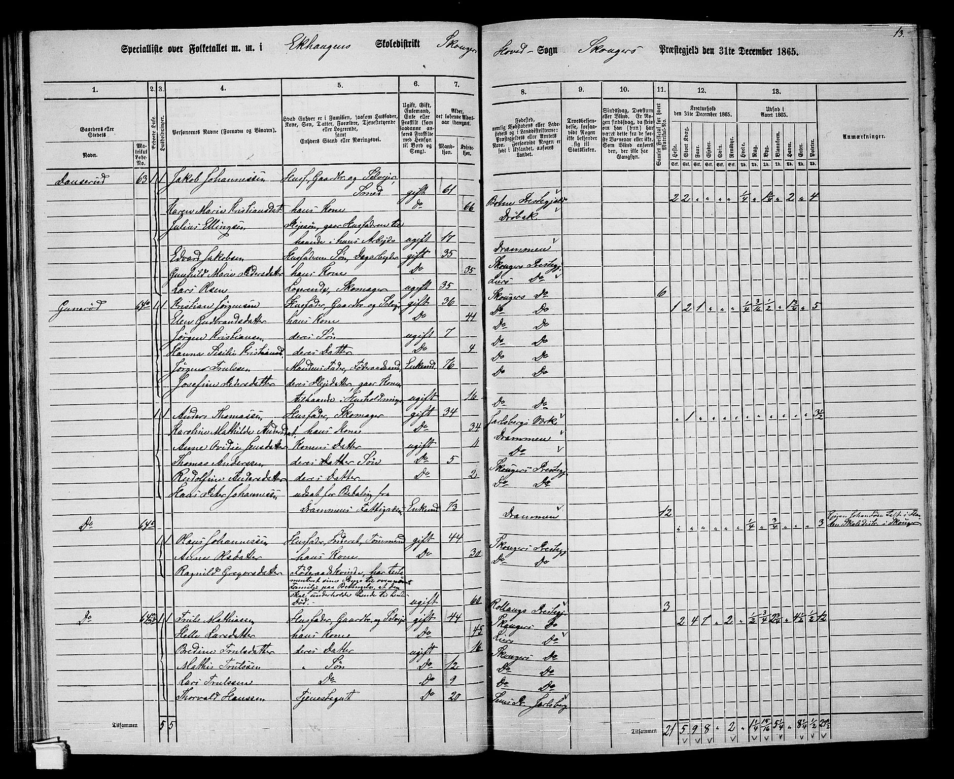 RA, 1865 census for Skoger, 1865, p. 53