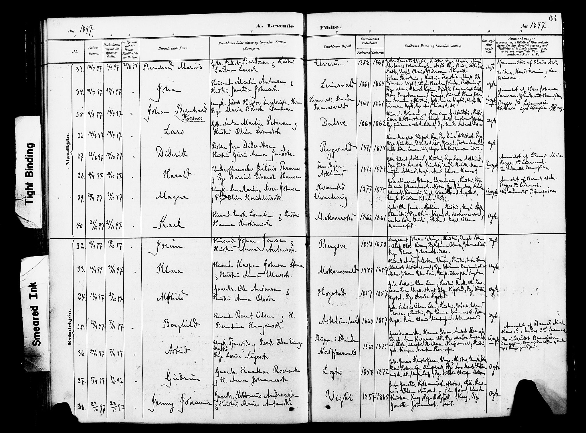 Ministerialprotokoller, klokkerbøker og fødselsregistre - Nord-Trøndelag, AV/SAT-A-1458/713/L0121: Parish register (official) no. 713A10, 1888-1898, p. 64