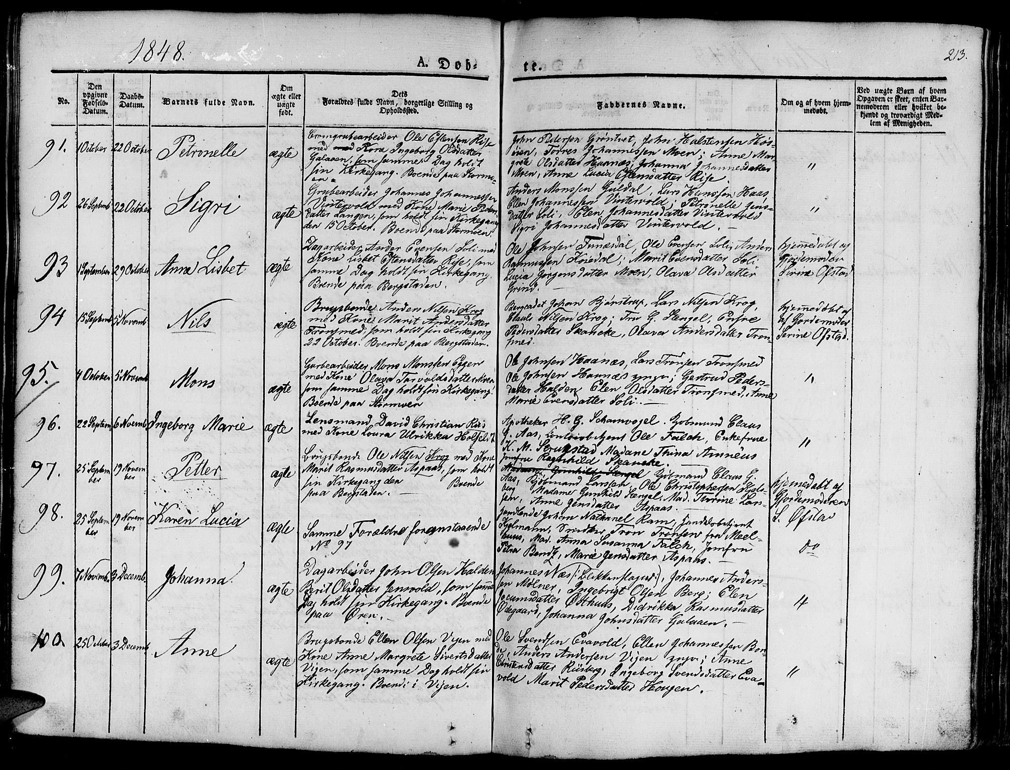 Ministerialprotokoller, klokkerbøker og fødselsregistre - Sør-Trøndelag, SAT/A-1456/681/L0938: Parish register (copy) no. 681C02, 1829-1879, p. 213