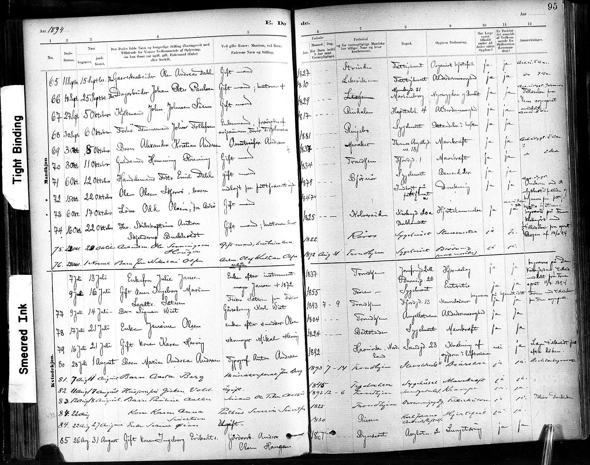 Ministerialprotokoller, klokkerbøker og fødselsregistre - Sør-Trøndelag, AV/SAT-A-1456/602/L0120: Parish register (official) no. 602A18, 1880-1913, p. 95
