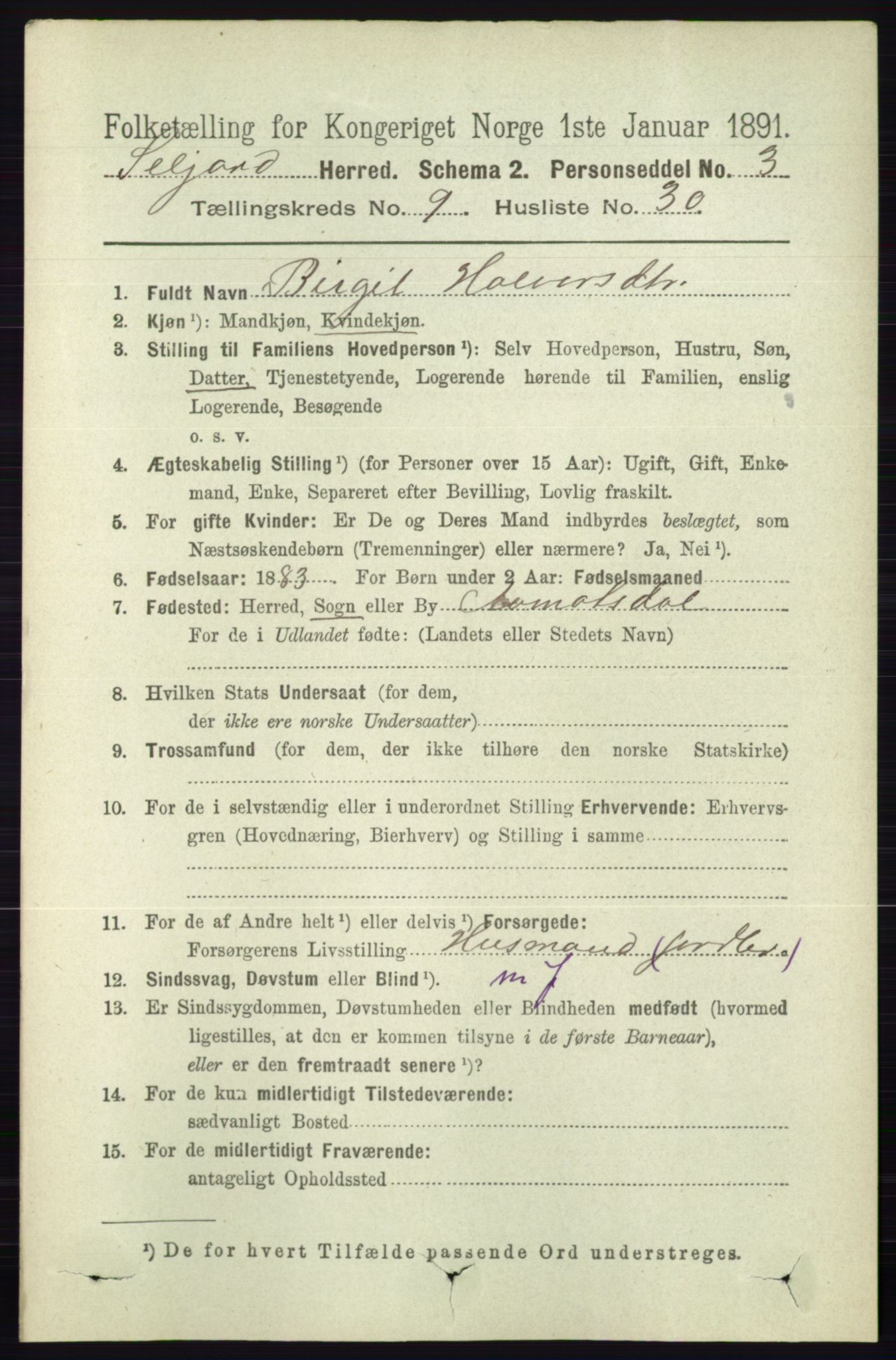 RA, 1891 census for 0828 Seljord, 1891, p. 3332