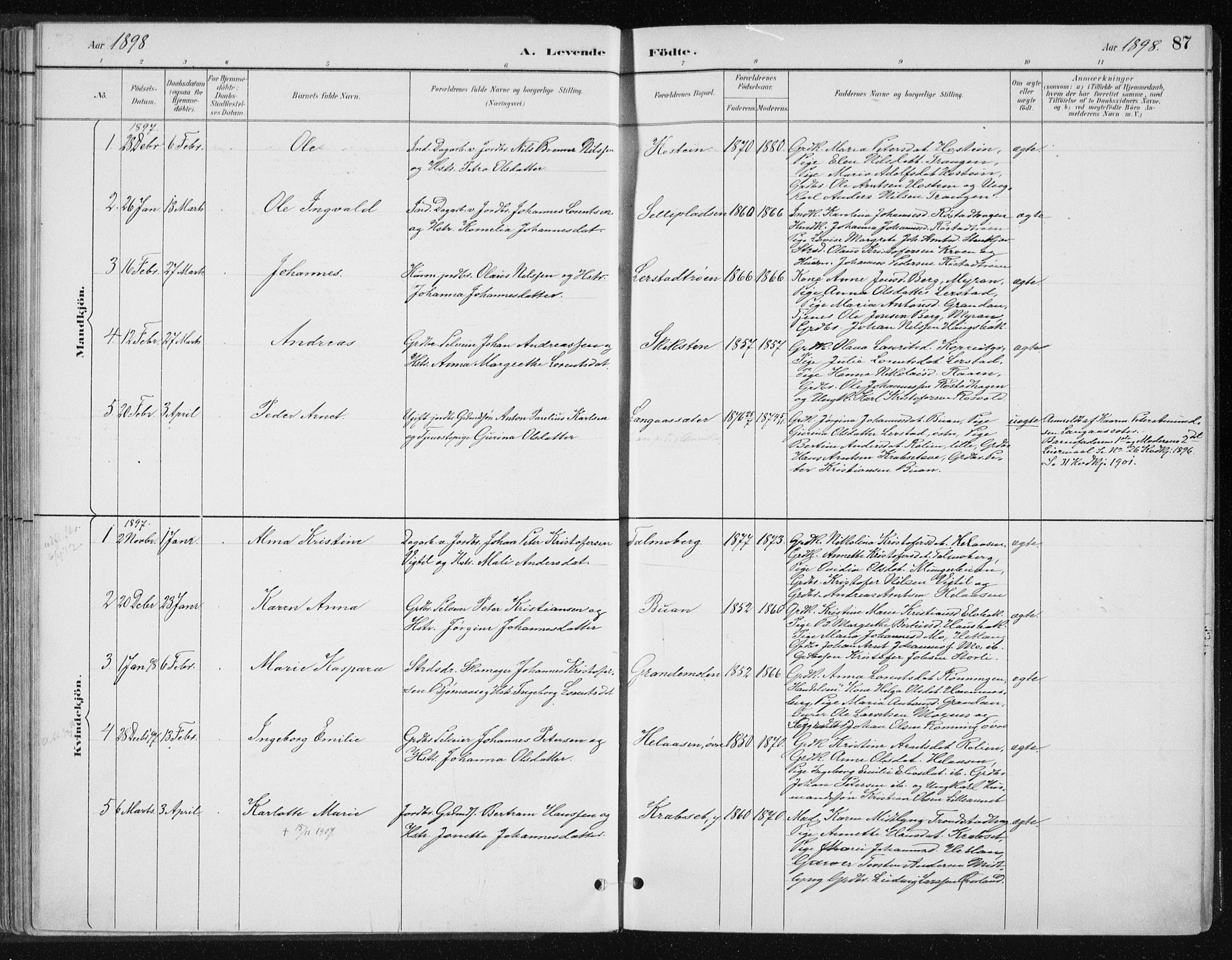 Ministerialprotokoller, klokkerbøker og fødselsregistre - Nord-Trøndelag, AV/SAT-A-1458/701/L0010: Parish register (official) no. 701A10, 1883-1899, p. 87