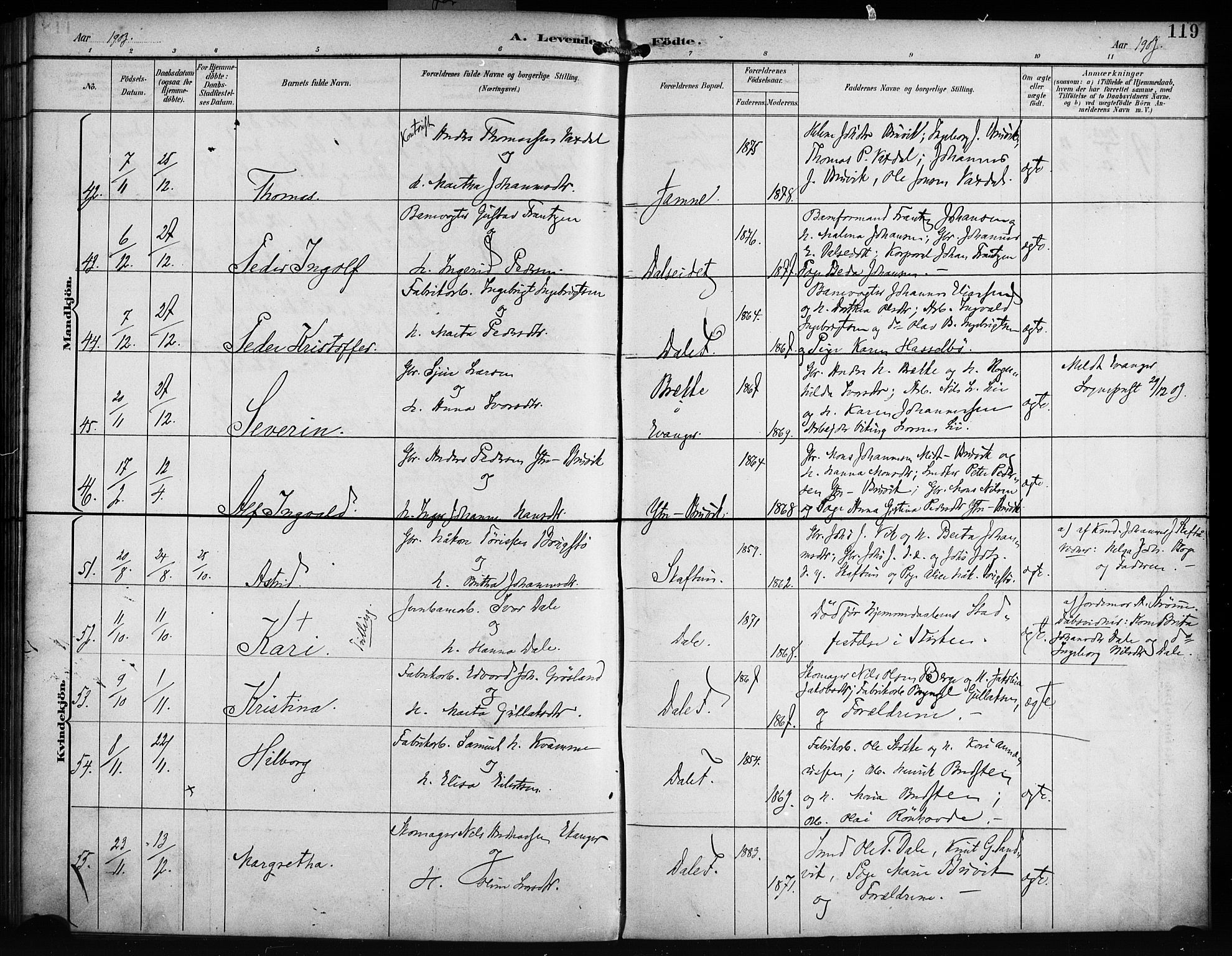 Bruvik Sokneprestembete, SAB/A-74701/H/Haa: Parish register (official) no. B 2, 1893-1903, p. 119