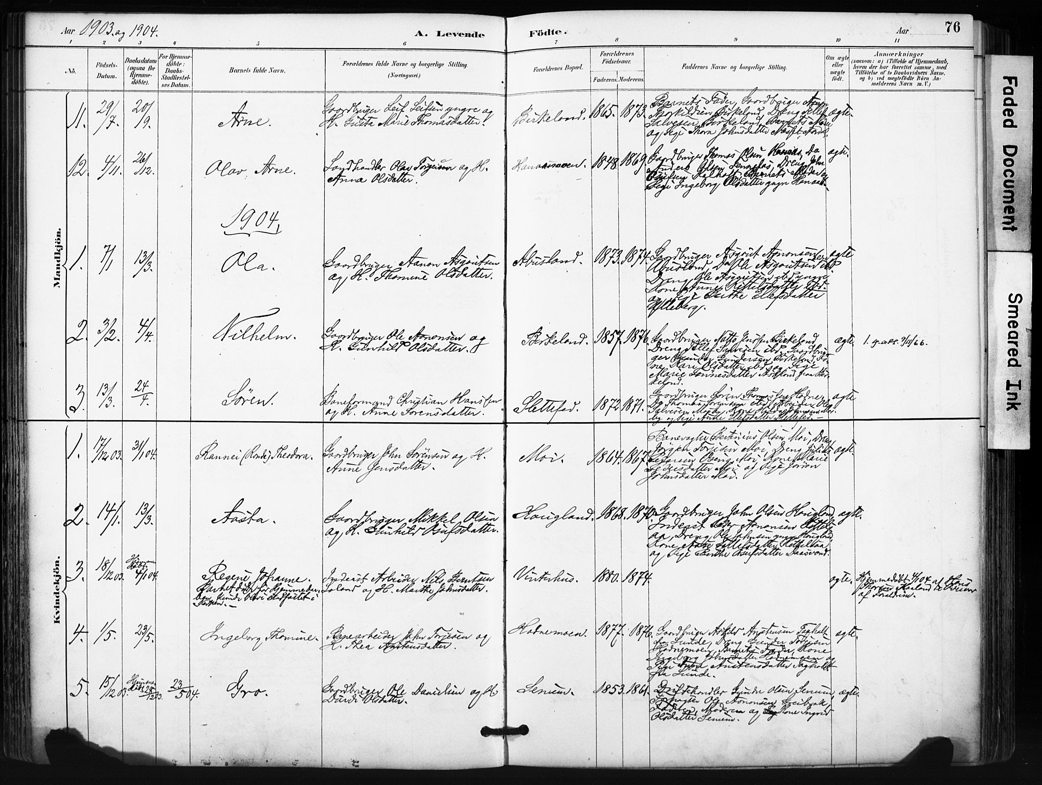 Evje sokneprestkontor, SAK/1111-0008/F/Fa/Fab/L0003: Parish register (official) no. A 3, 1884-1909, p. 76