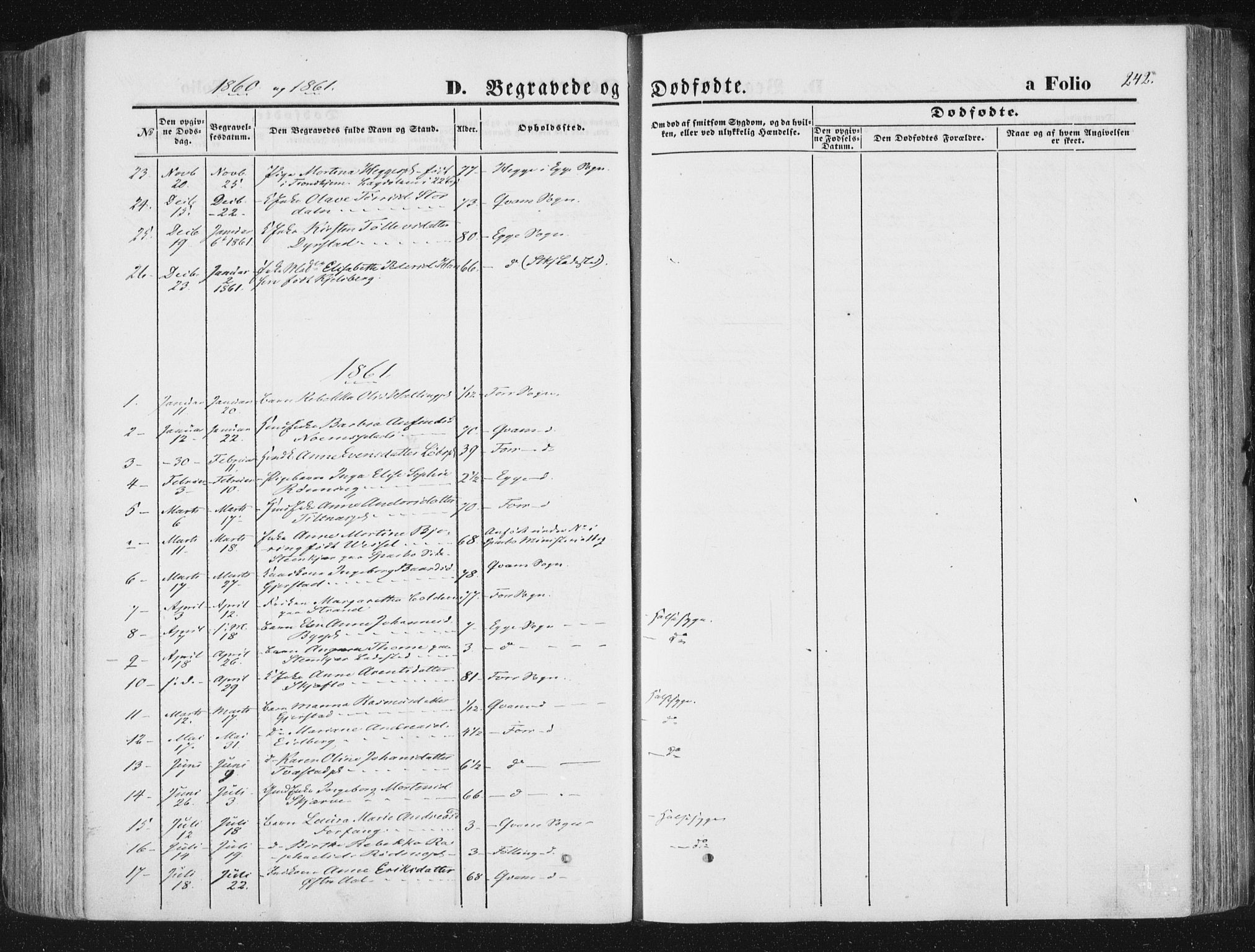 Ministerialprotokoller, klokkerbøker og fødselsregistre - Nord-Trøndelag, SAT/A-1458/746/L0447: Parish register (official) no. 746A06, 1860-1877, p. 242