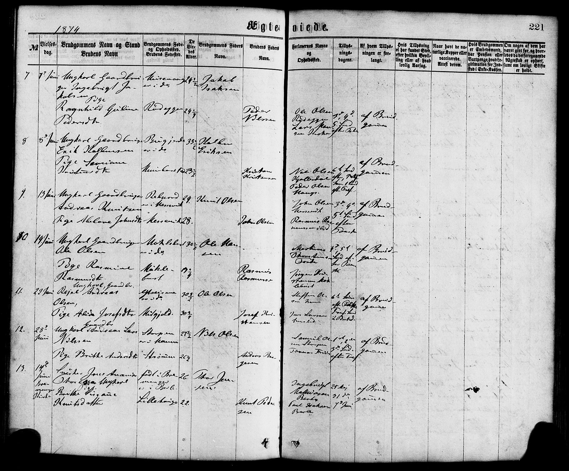 Davik sokneprestembete, AV/SAB-A-79701/H/Haa/Haaa/L0006: Parish register (official) no. A 6, 1867-1881, p. 221