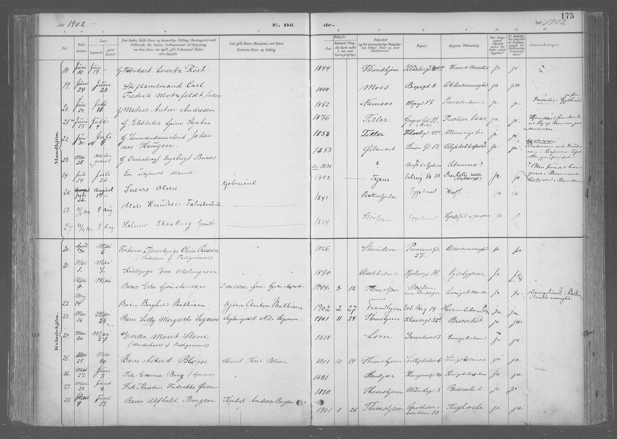 Ministerialprotokoller, klokkerbøker og fødselsregistre - Sør-Trøndelag, SAT/A-1456/601/L0064: Parish register (official) no. 601A31, 1891-1911, p. 175