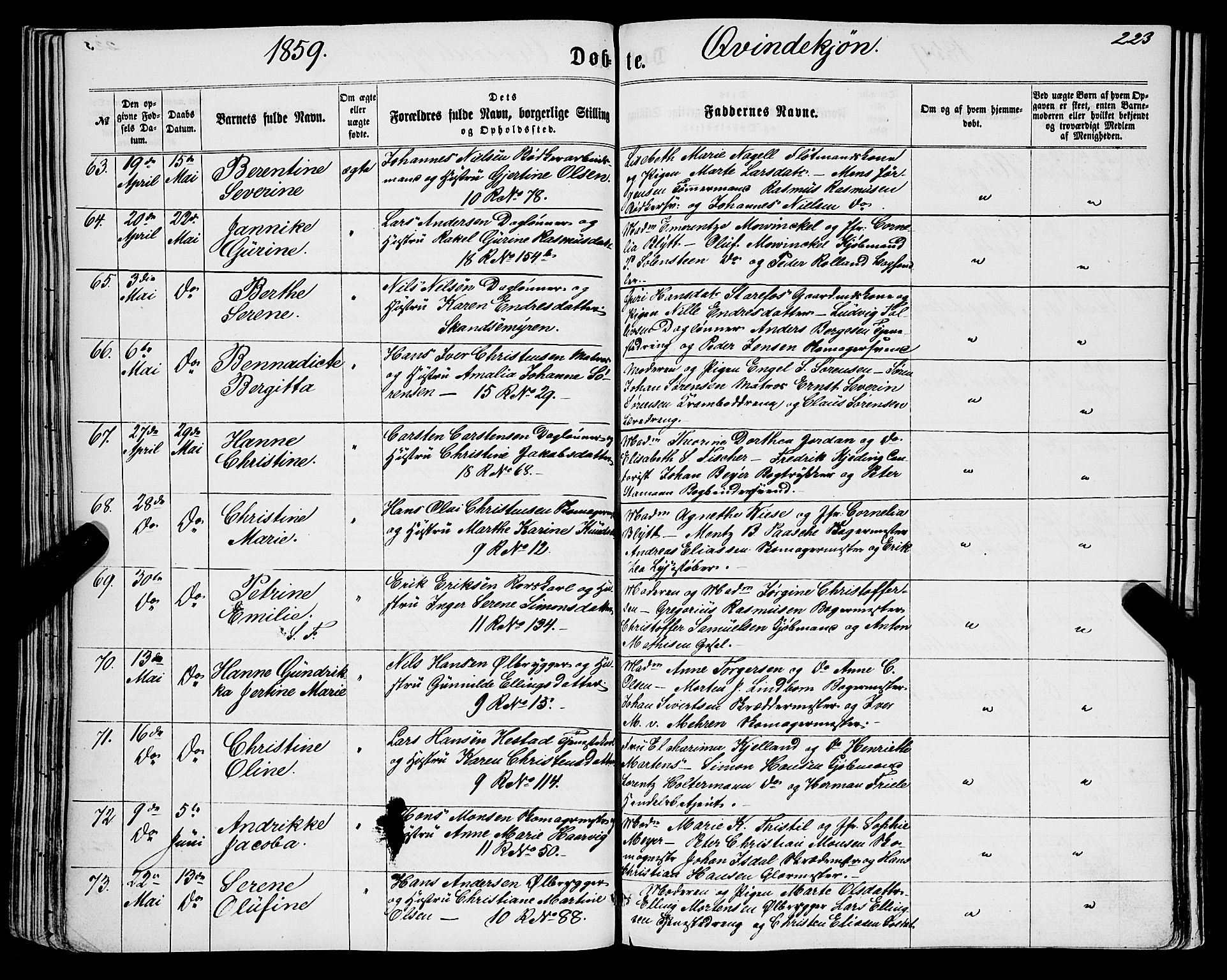 Domkirken sokneprestembete, AV/SAB-A-74801/H/Haa/L0021: Parish register (official) no. B 4, 1859-1871, p. 223