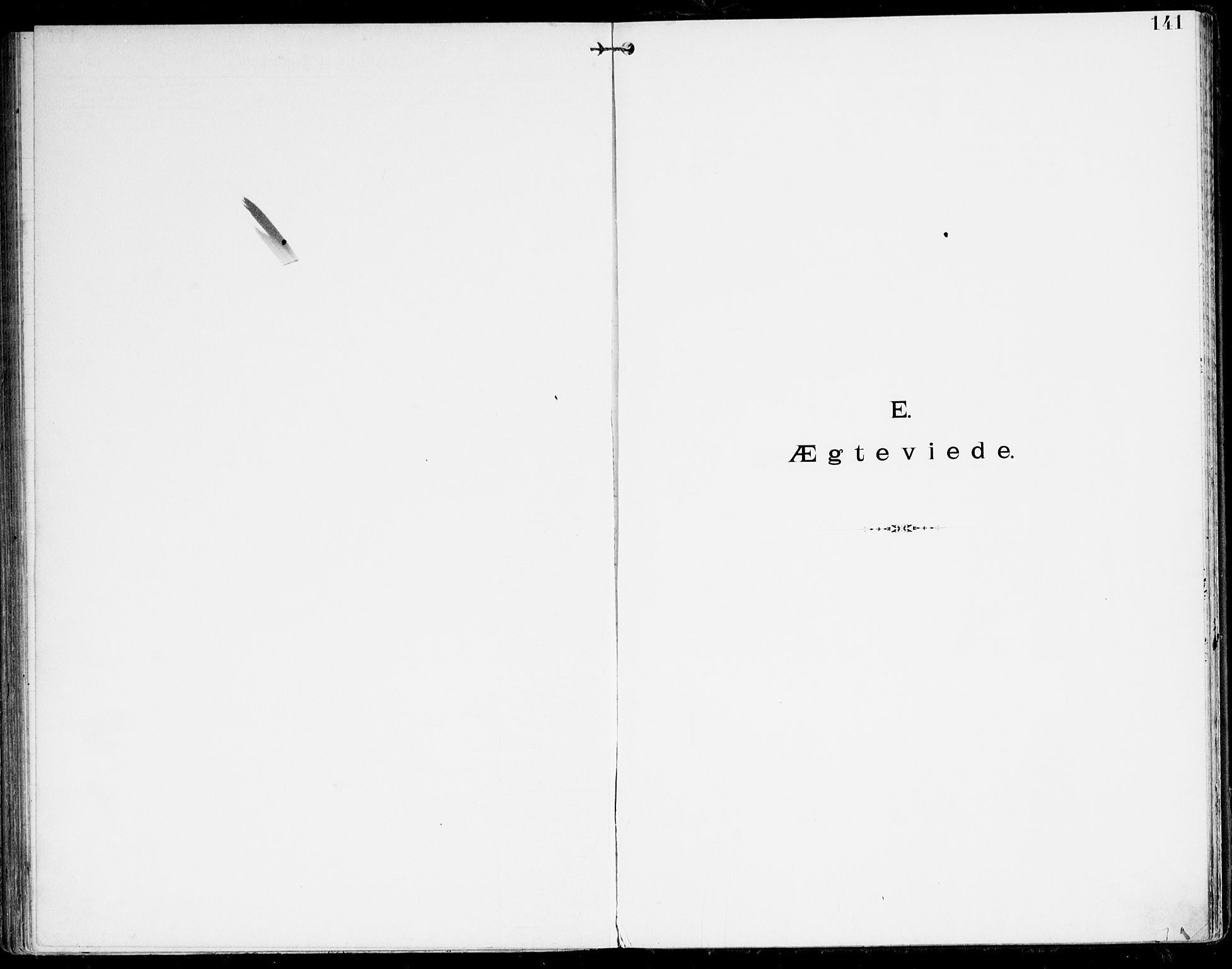 Den evangelisk-lutherske frikirke, Kristiansand, AV/SAK-1292-0017/F/Fa/L0003: Dissenter register no. F 11, 1892-1925, p. 141