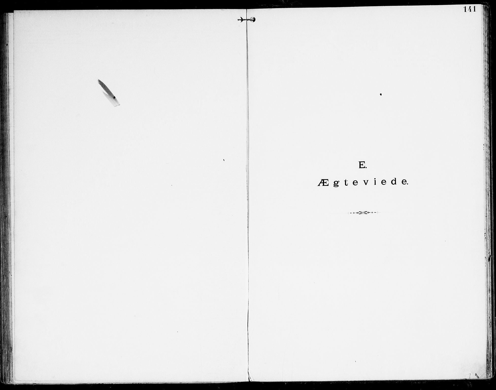 Den evangelisk-lutherske frikirke, Kristiansand, SAK/1292-0017/F/Fa/L0003: Dissenter register no. F 11, 1892-1925, p. 141